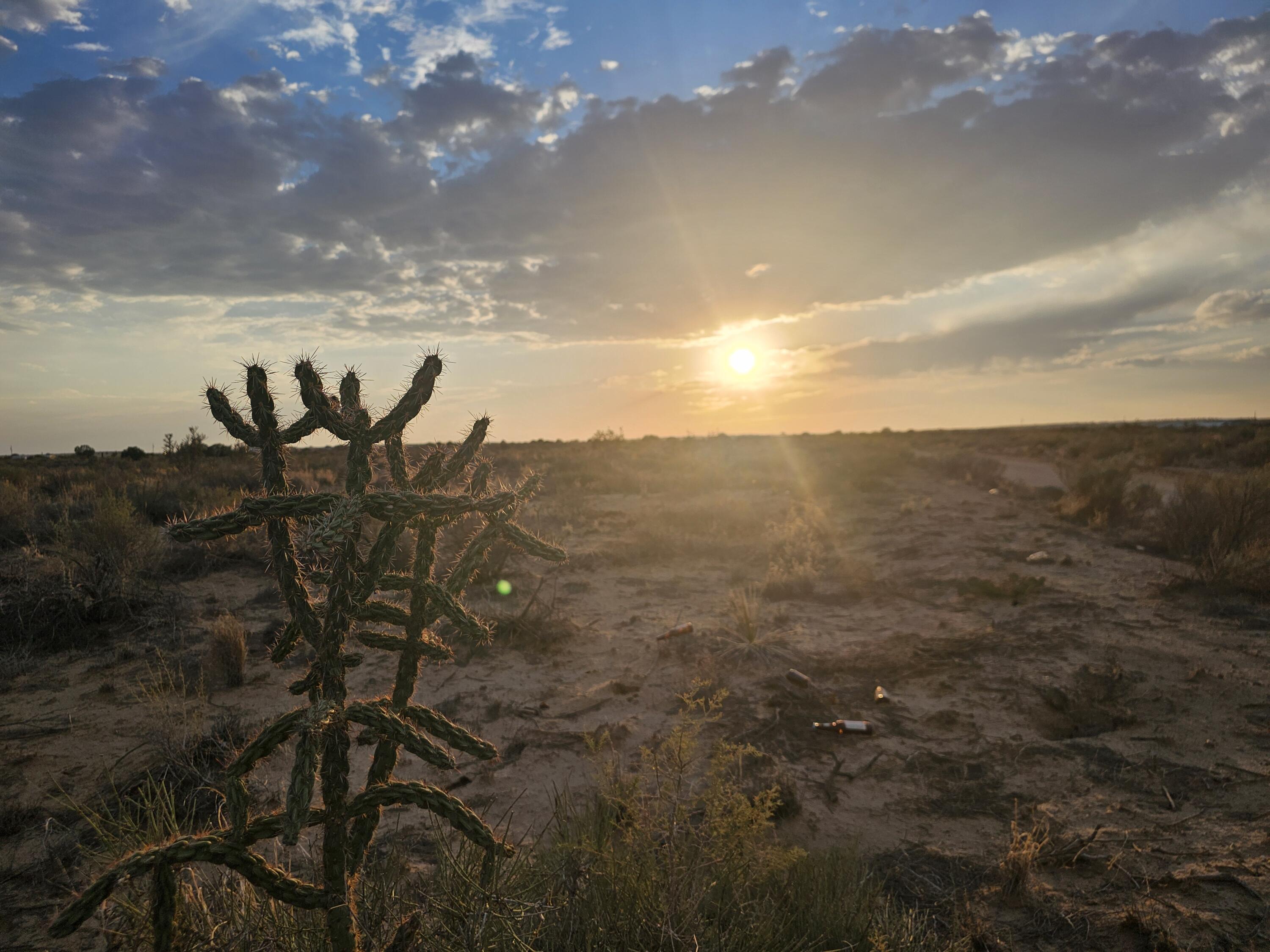 1206 Goya Road SW, Rio Rancho, NM 87124