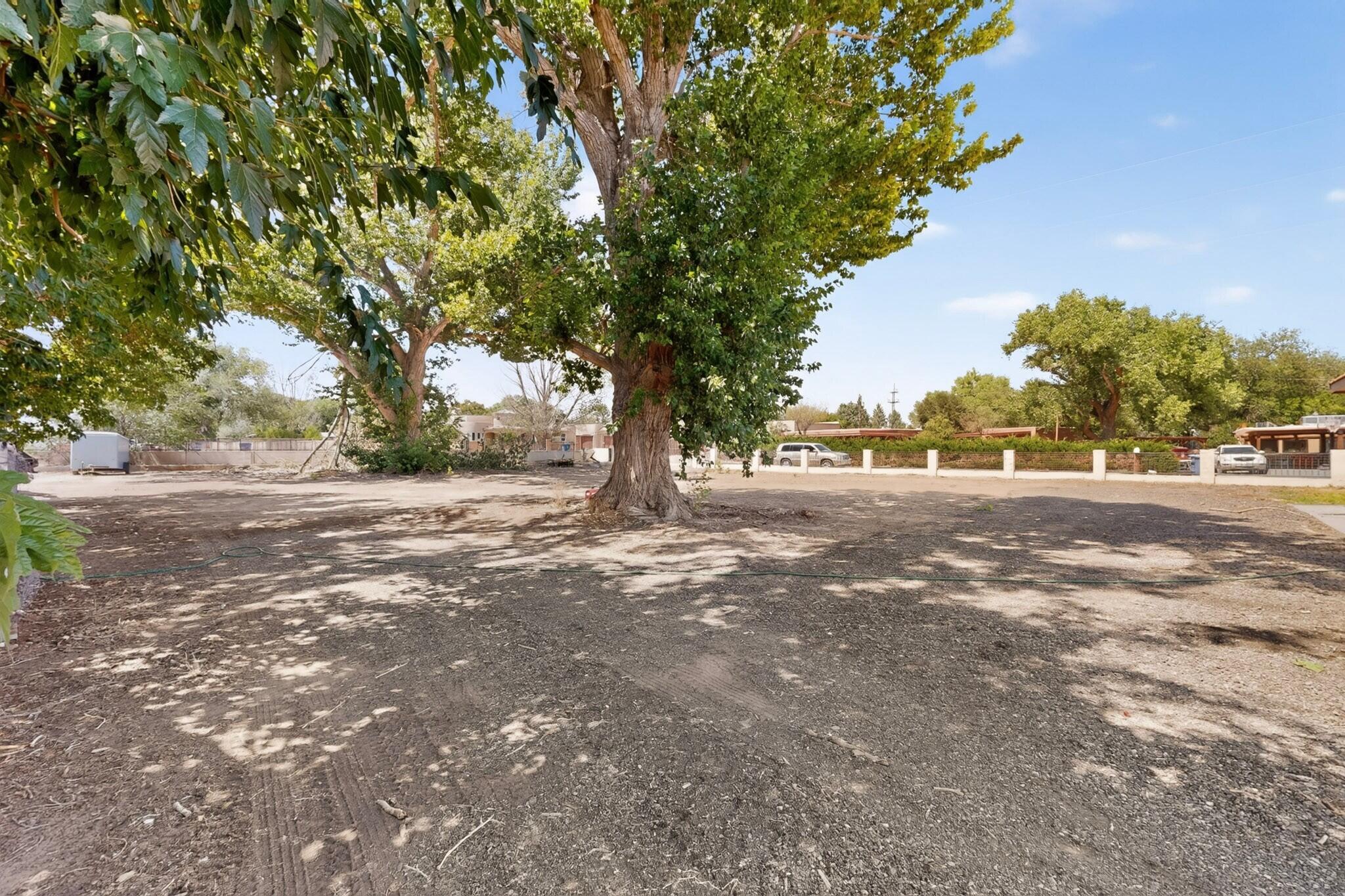 Photo 5 — 201 Sichler Road SW
