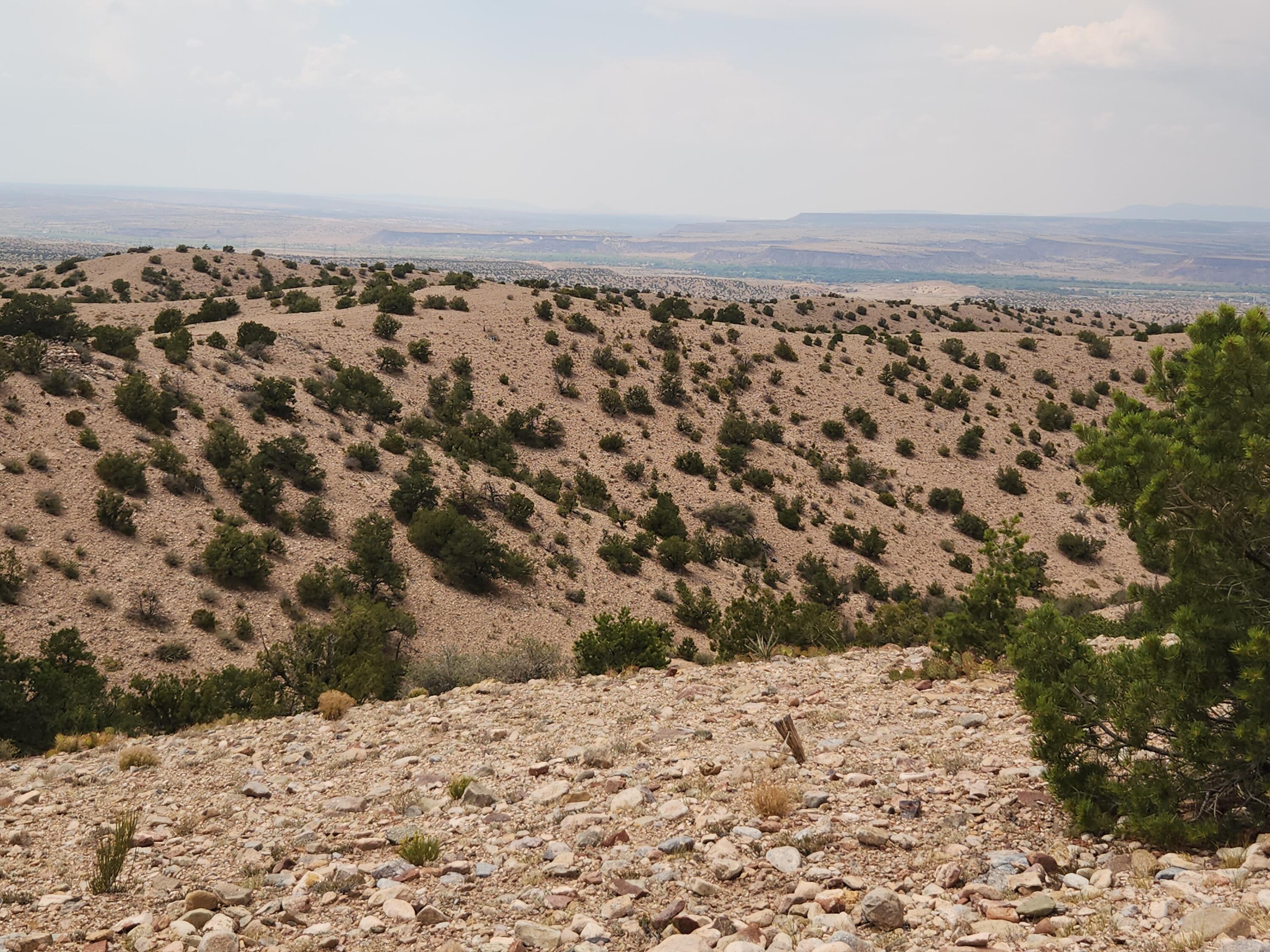 Photo 17 —  FLYING DOG RD
