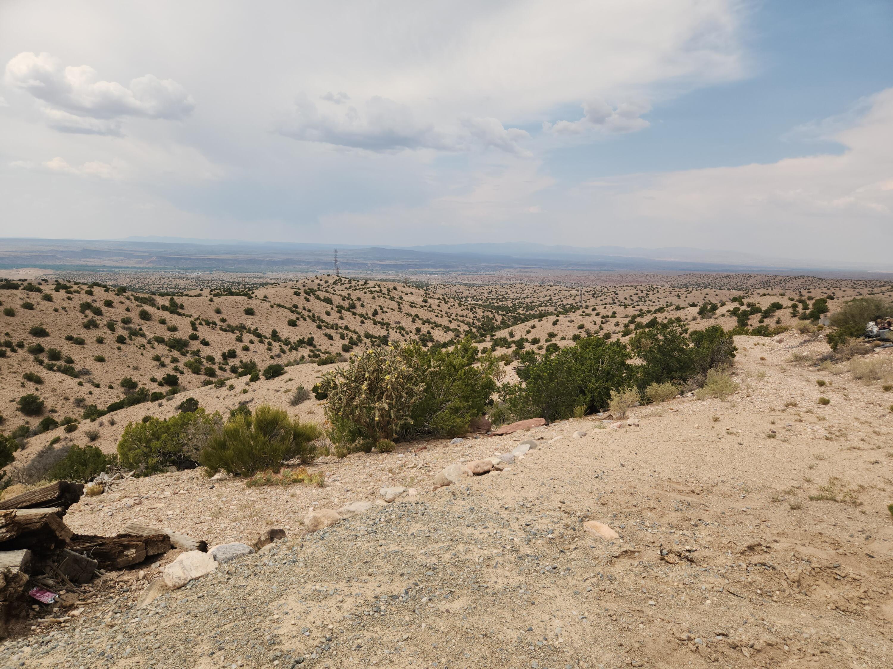 Photo 16 —  FLYING DOG RD