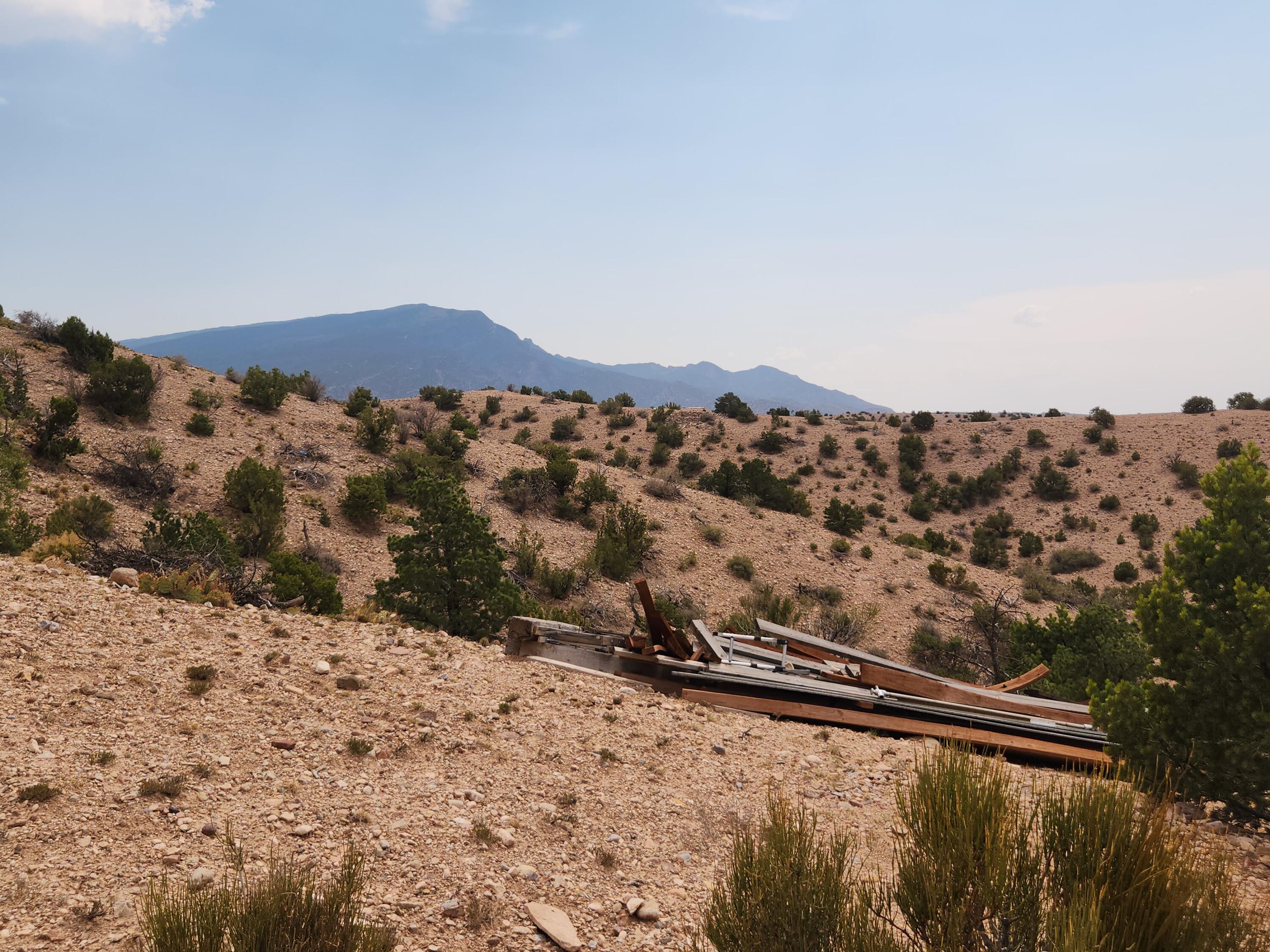 Photo 15 —  FLYING DOG RD