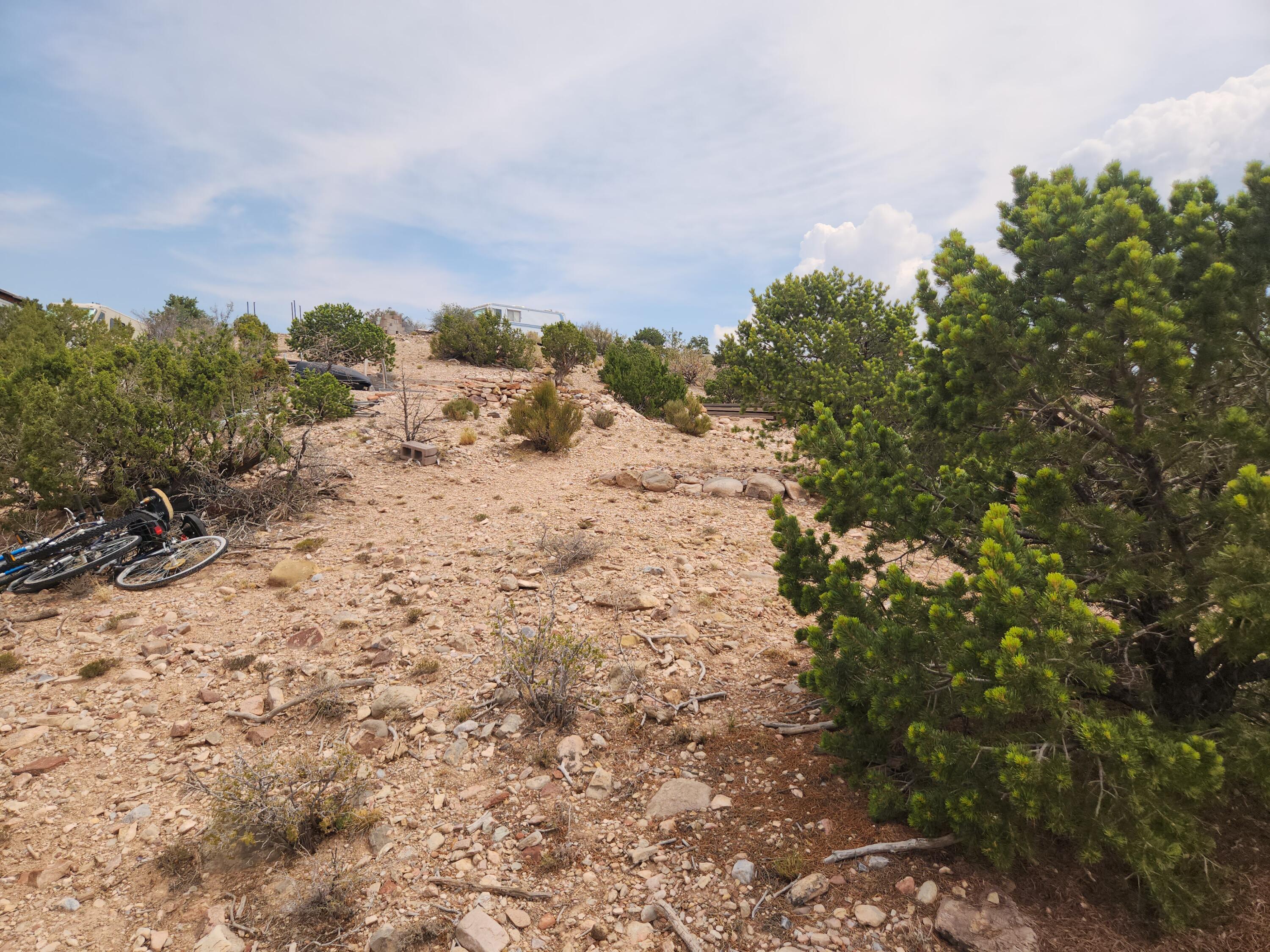 Photo 13 —  FLYING DOG RD