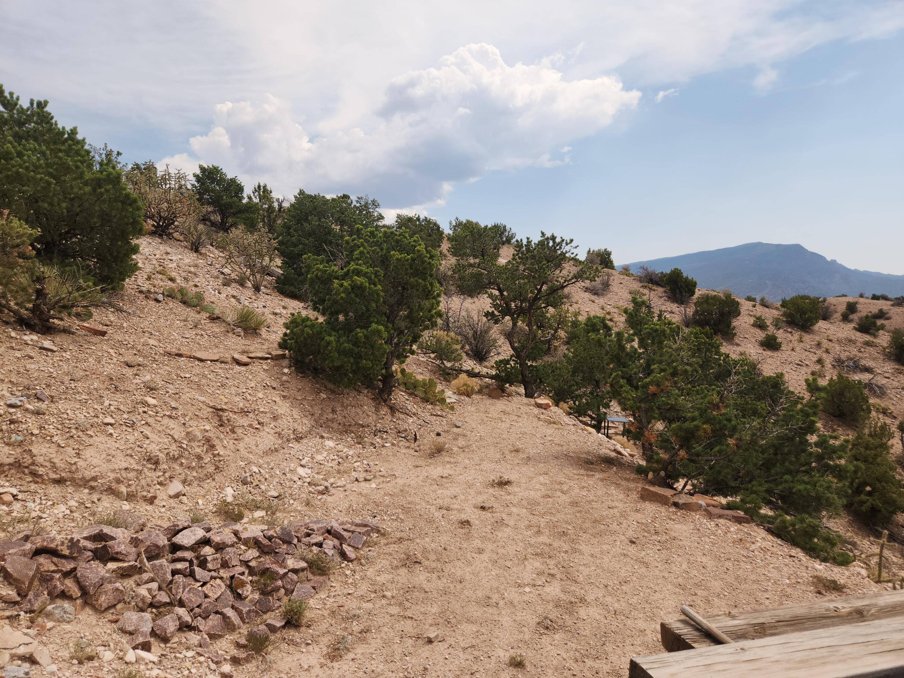 Photo 10 —  FLYING DOG RD