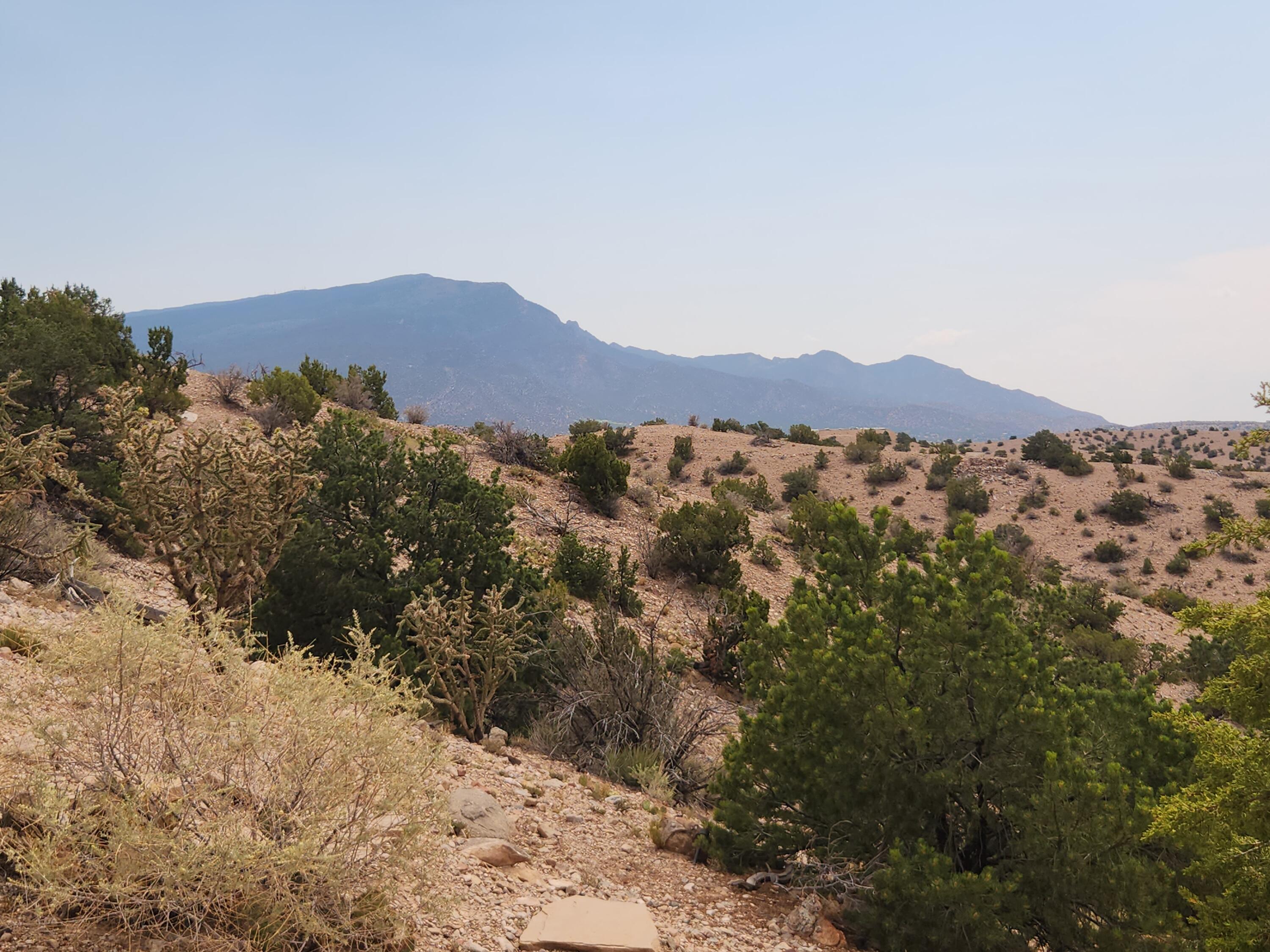 Photo 8 —  FLYING DOG RD