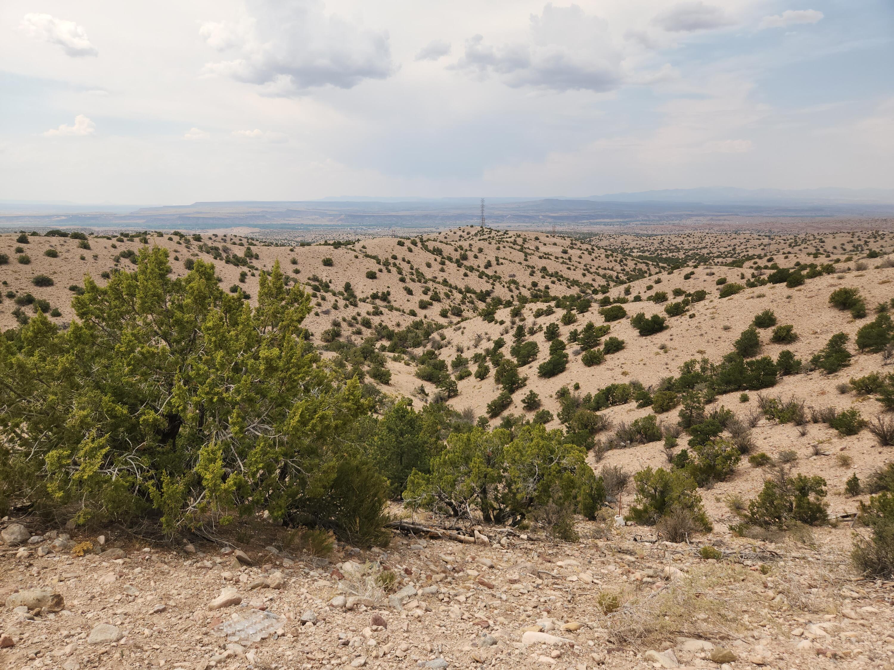 Photo 7 —  FLYING DOG RD