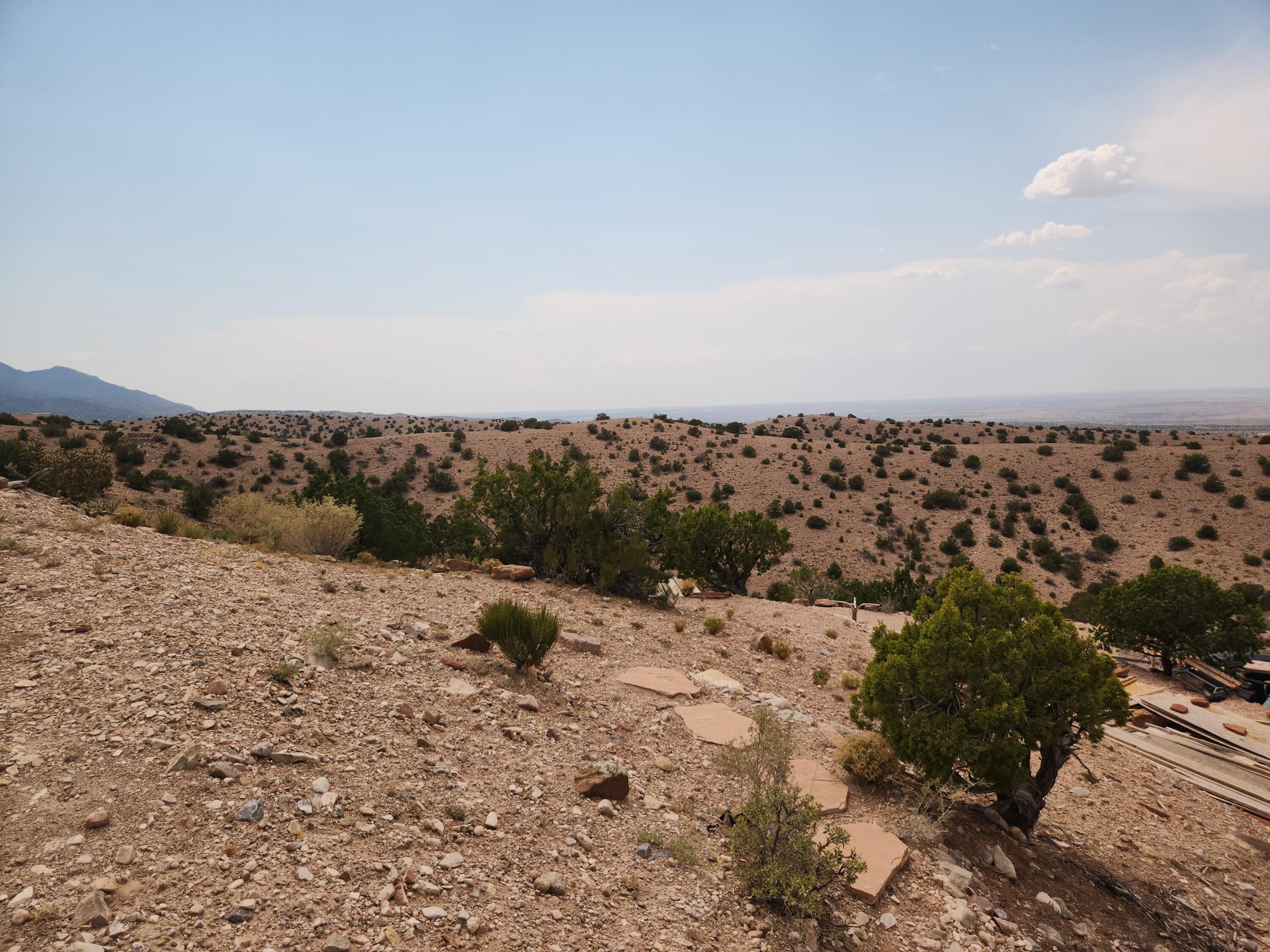 Photo 6 —  FLYING DOG RD