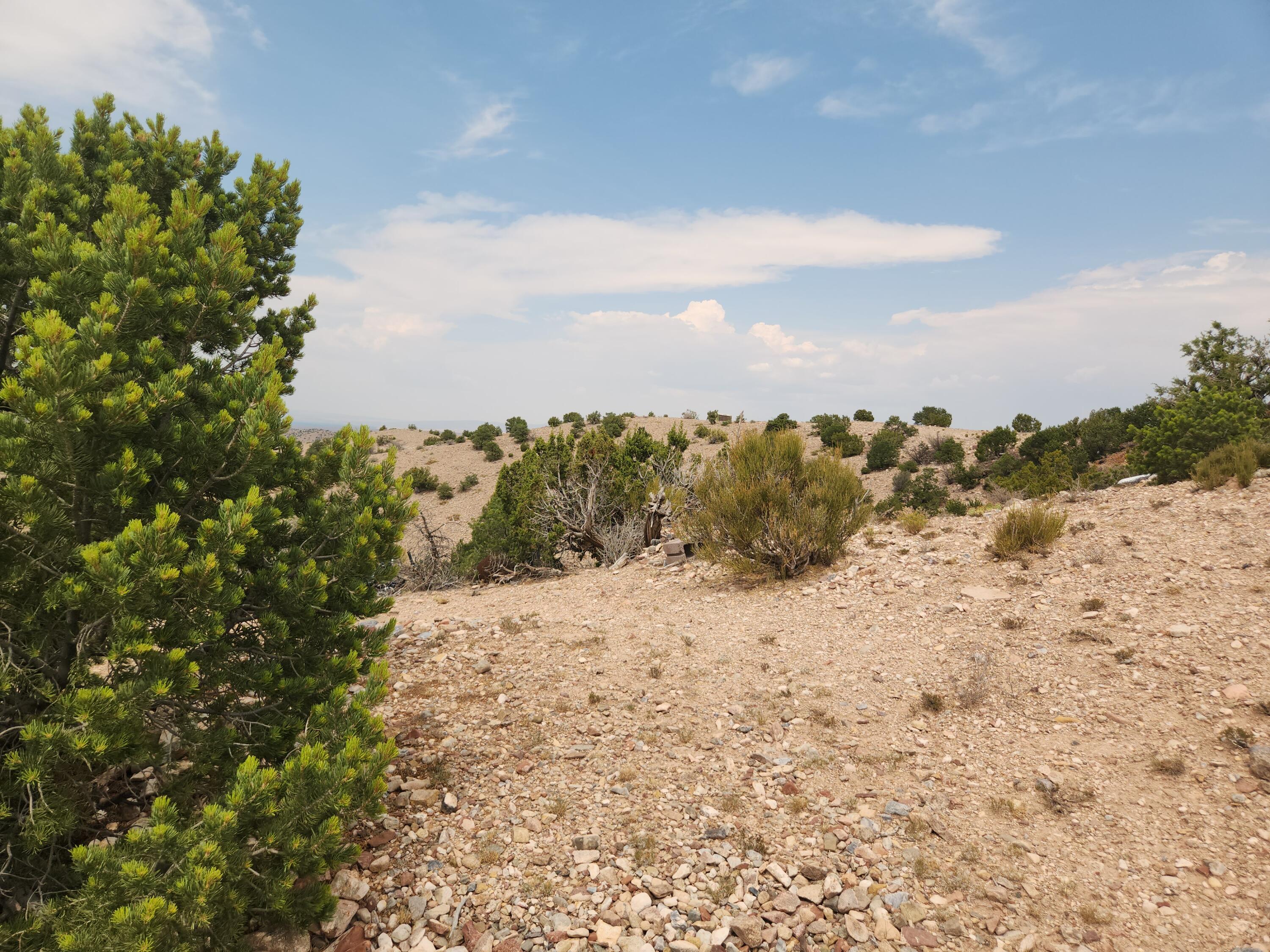 Photo 5 —  FLYING DOG RD