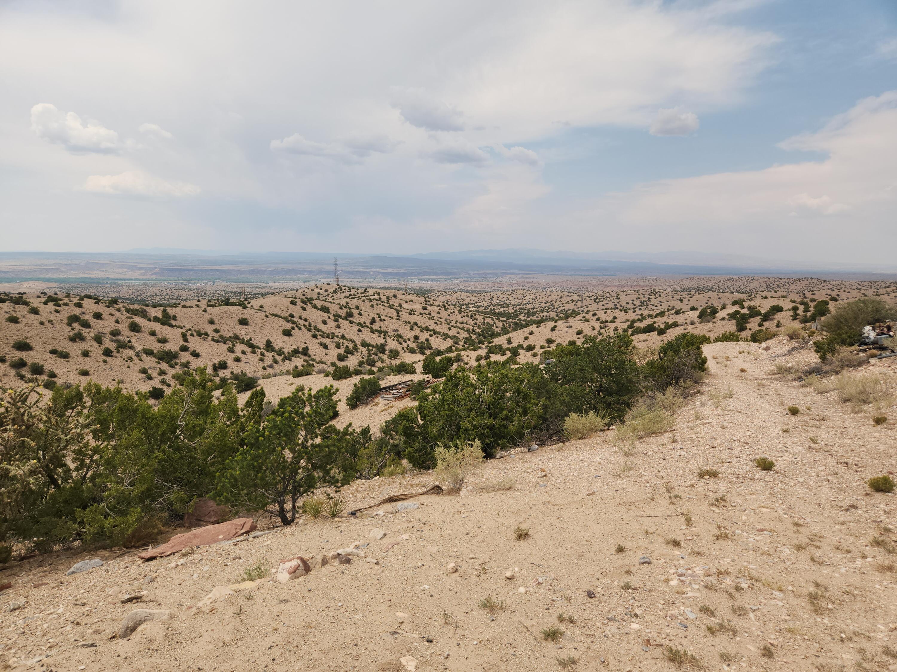 Photo 3 —  FLYING DOG RD