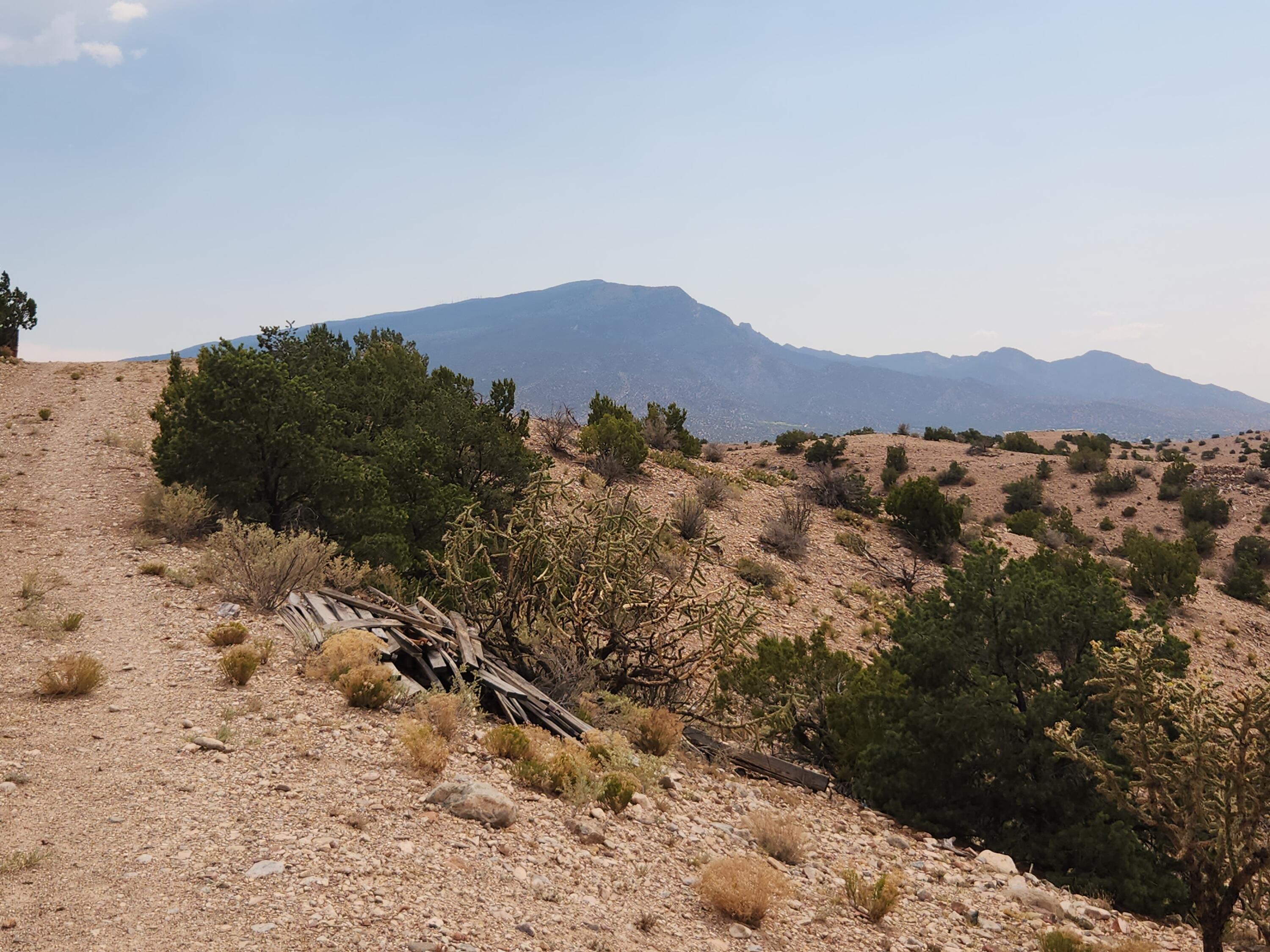 Photo 2 —  FLYING DOG RD