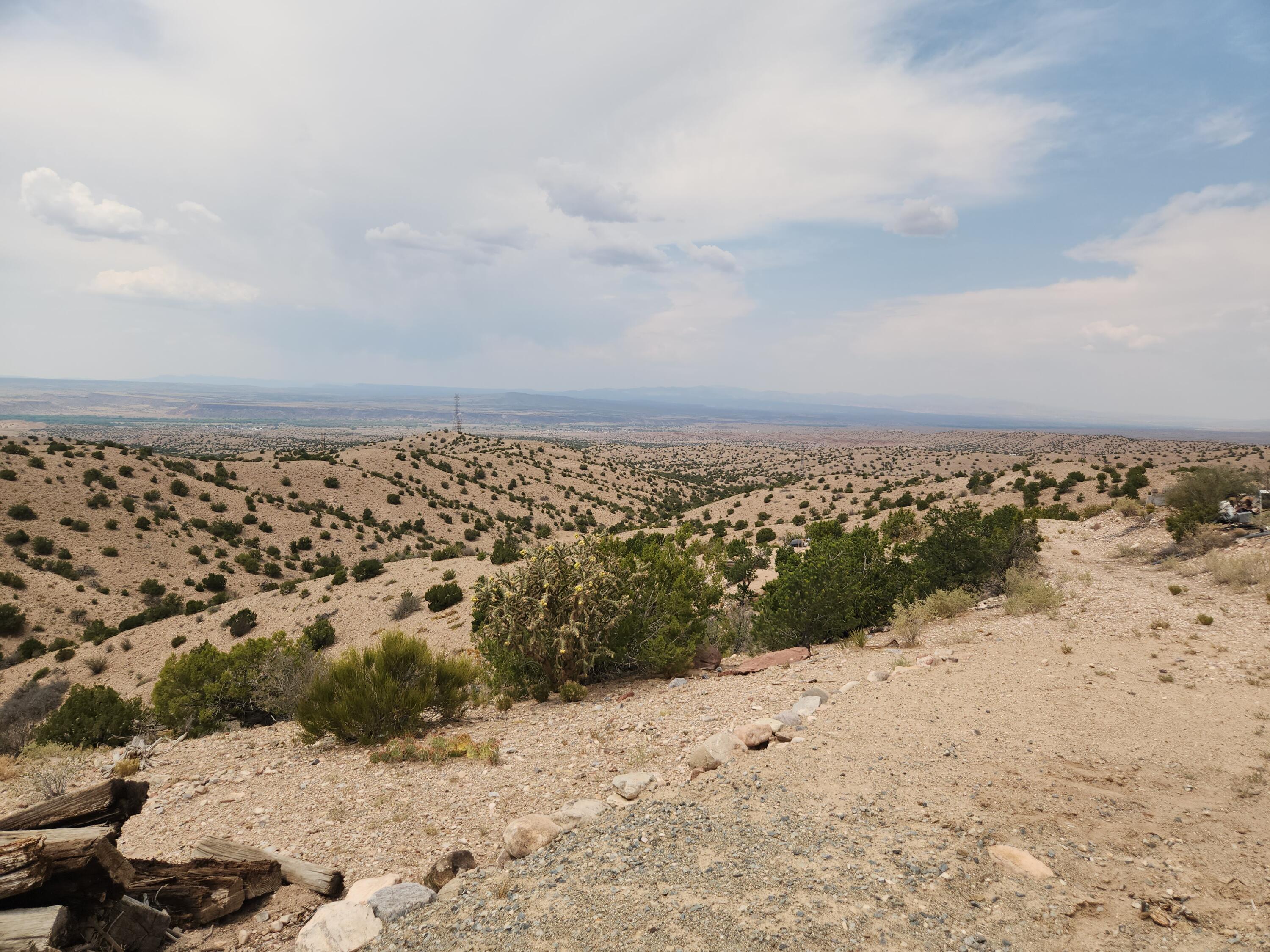 Photo 20 —  FLYING DOG RD