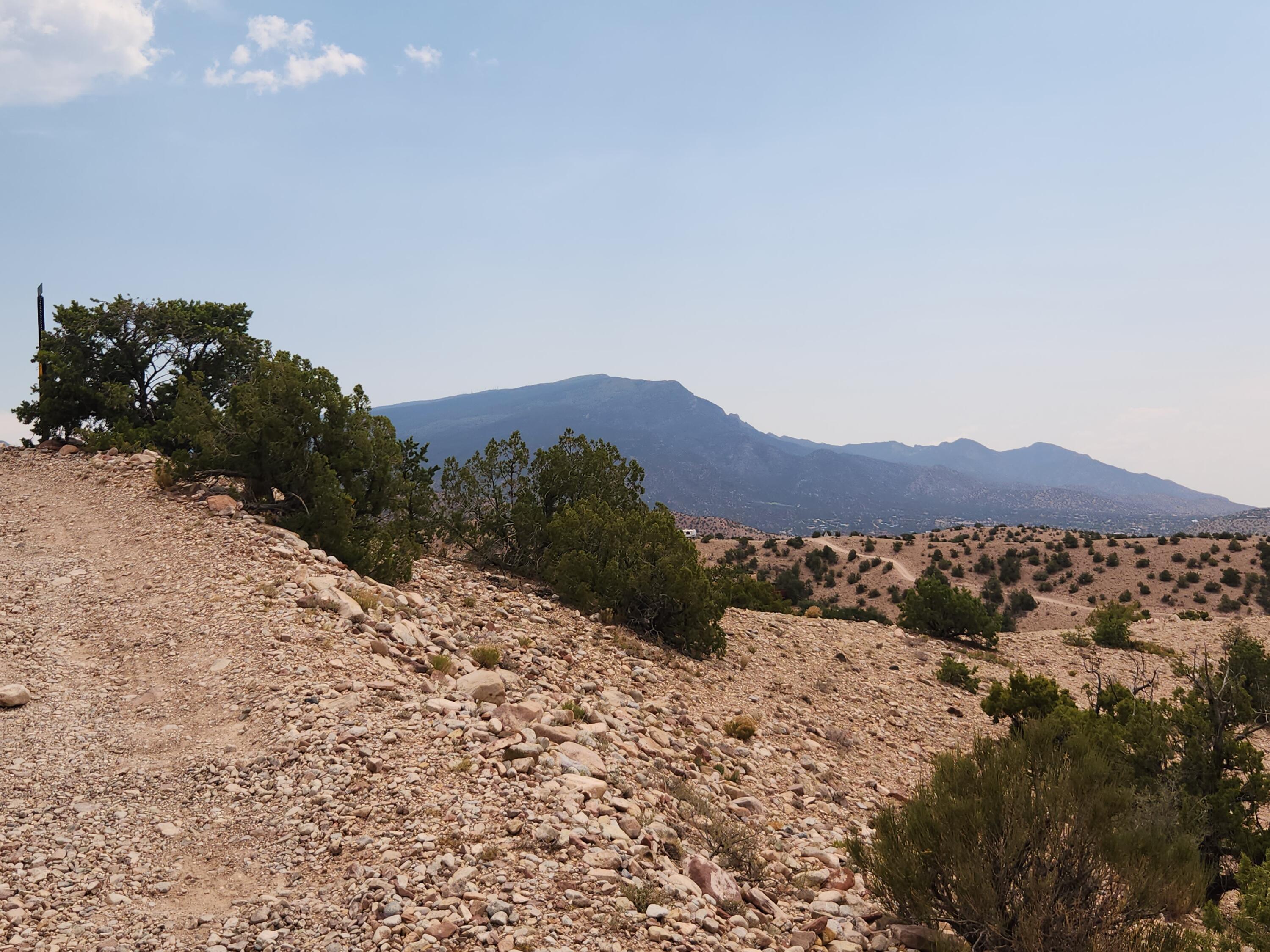 Photo 19 —  FLYING DOG RD