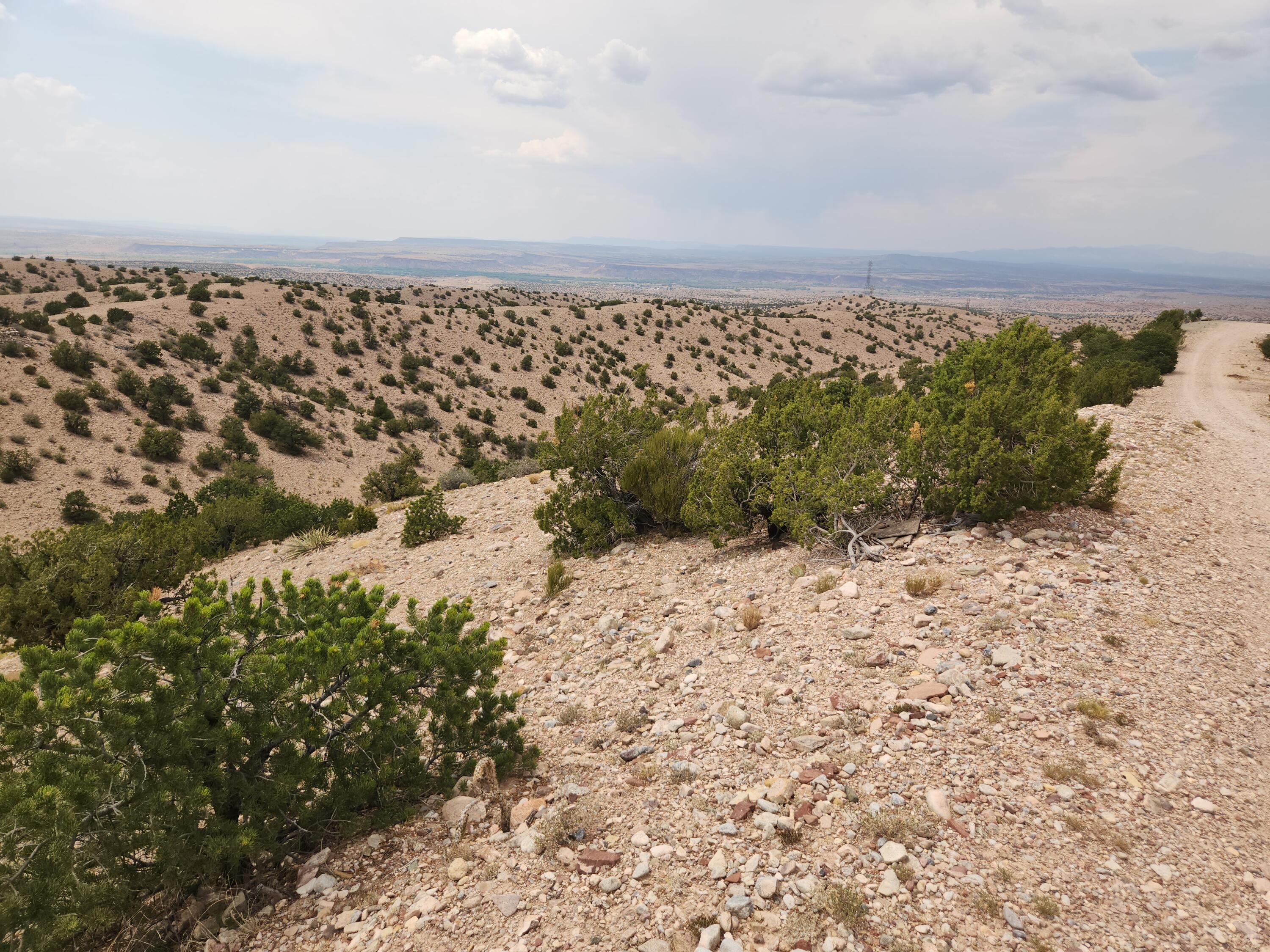 Photo 18 —  FLYING DOG RD