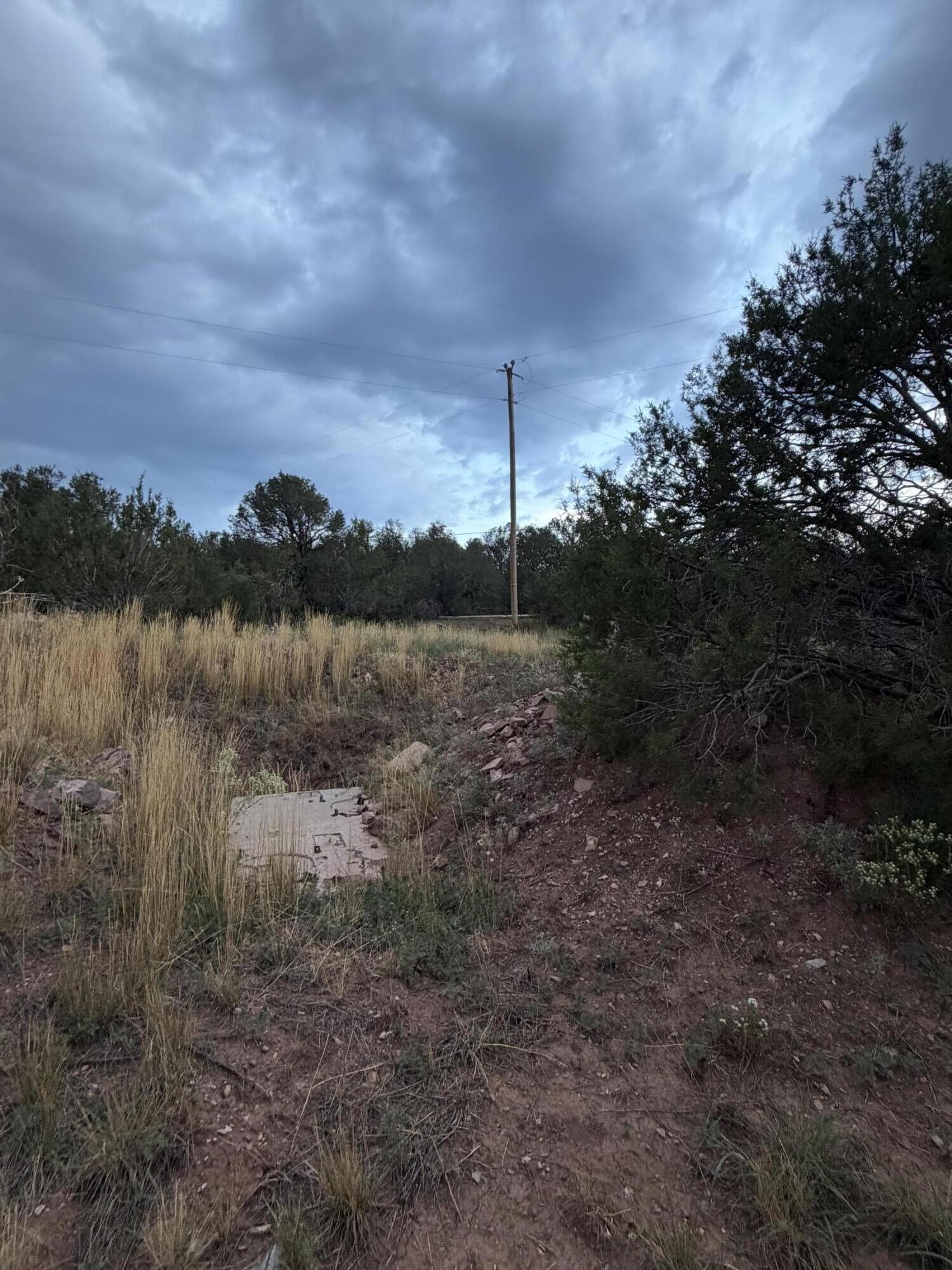 Photo 8 — 230 Frost Road