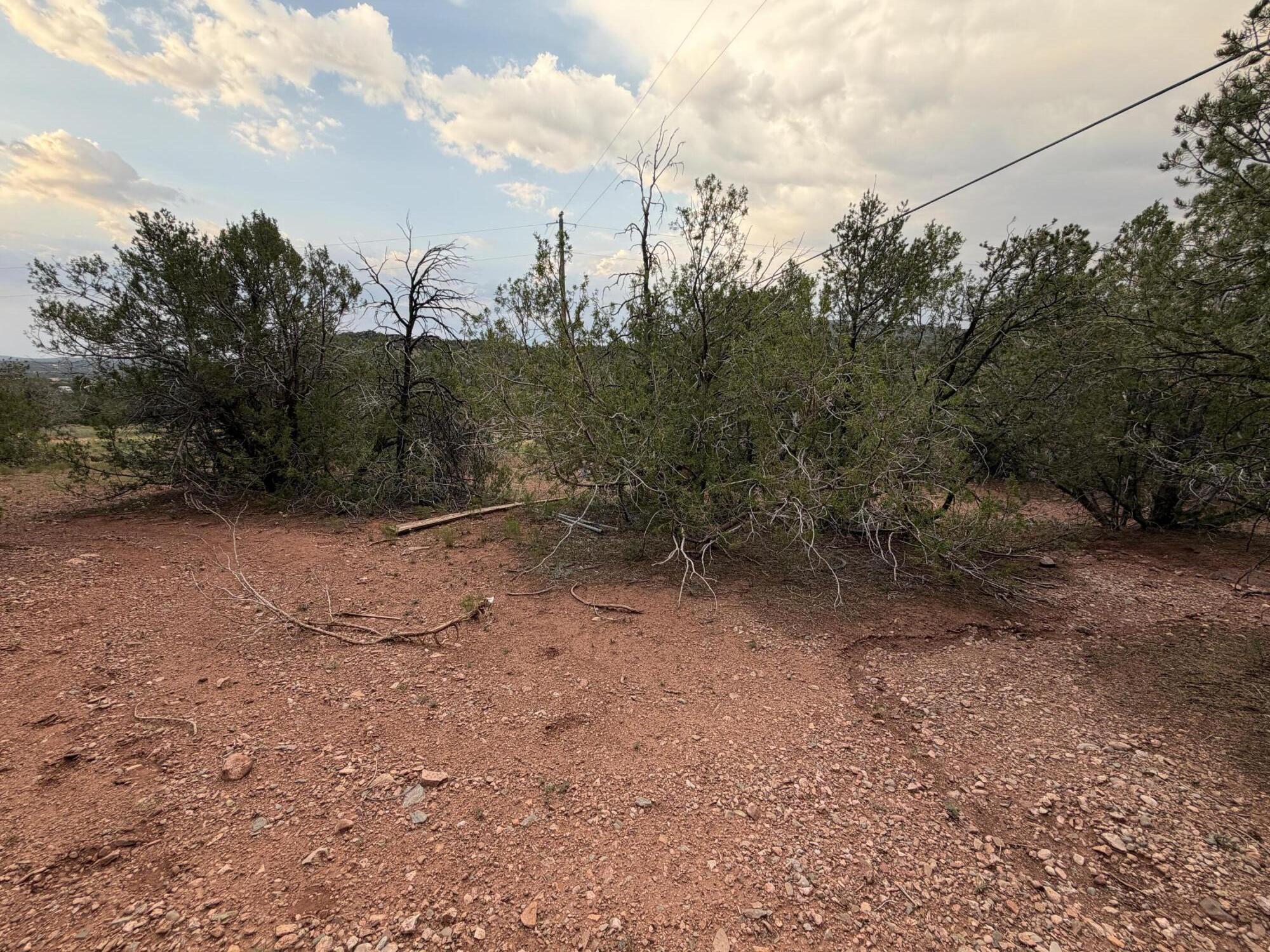 Photo 5 — 230 Frost Road