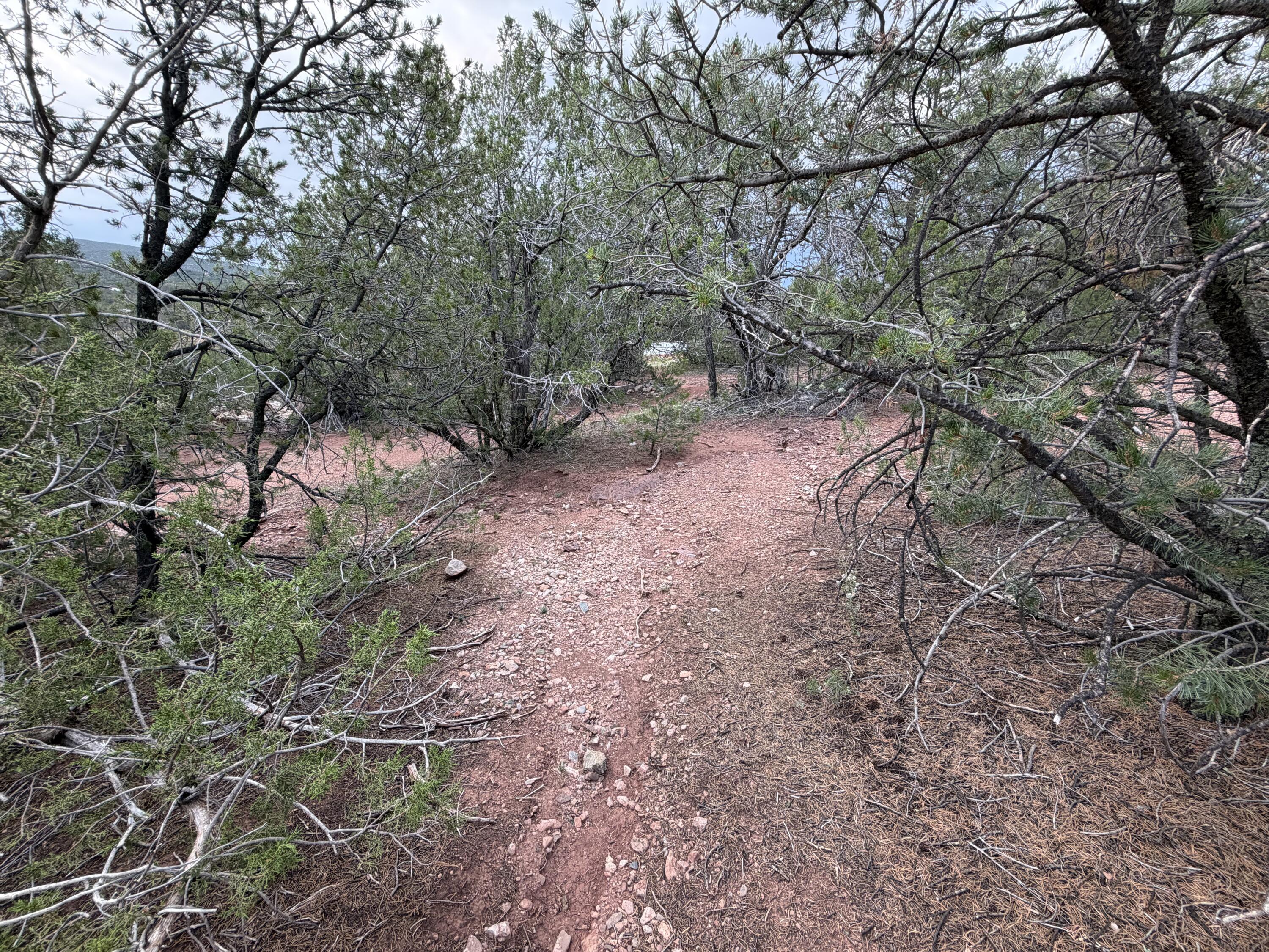 Photo 4 — 230 Frost Road
