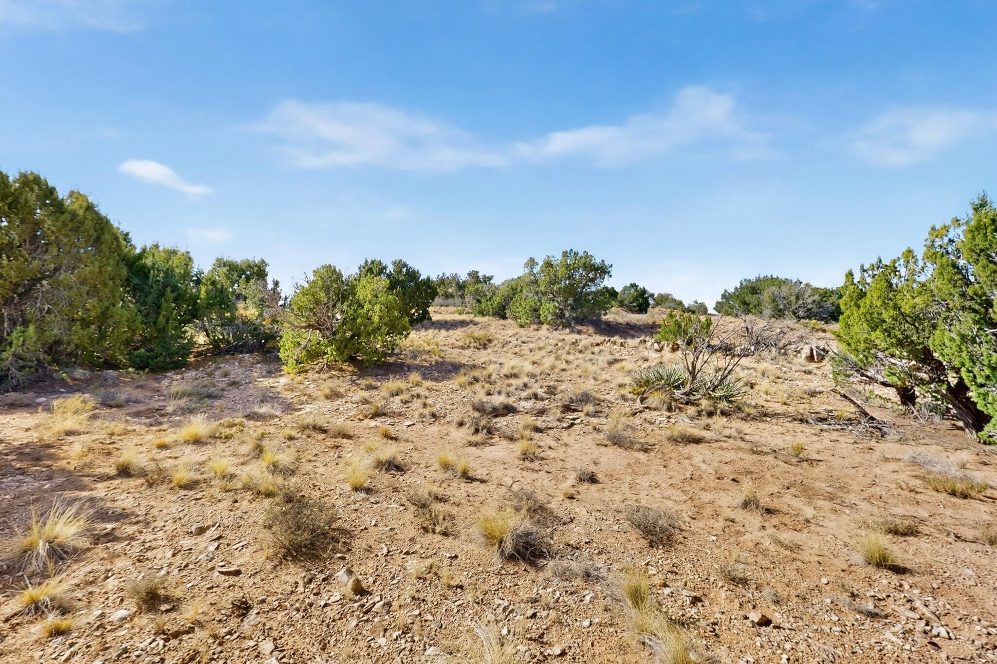 Photo 3 —  Diamond Tail Road Lot 36