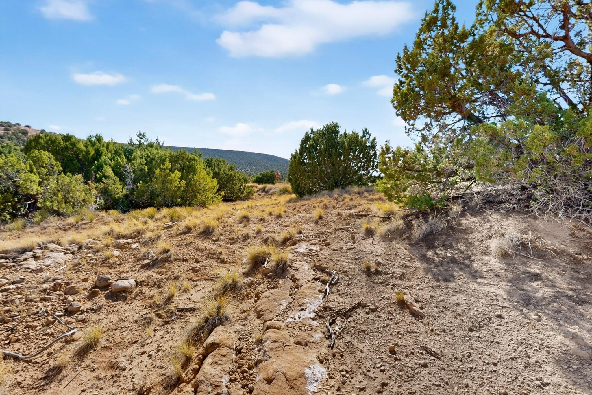 Photo 2 —  Diamond Tail Road Lot 36