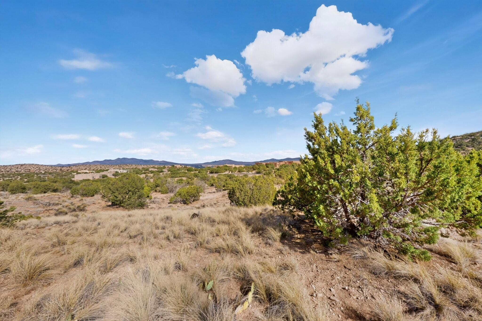 Photo 5 —  Diamond Tail Road Lot 36