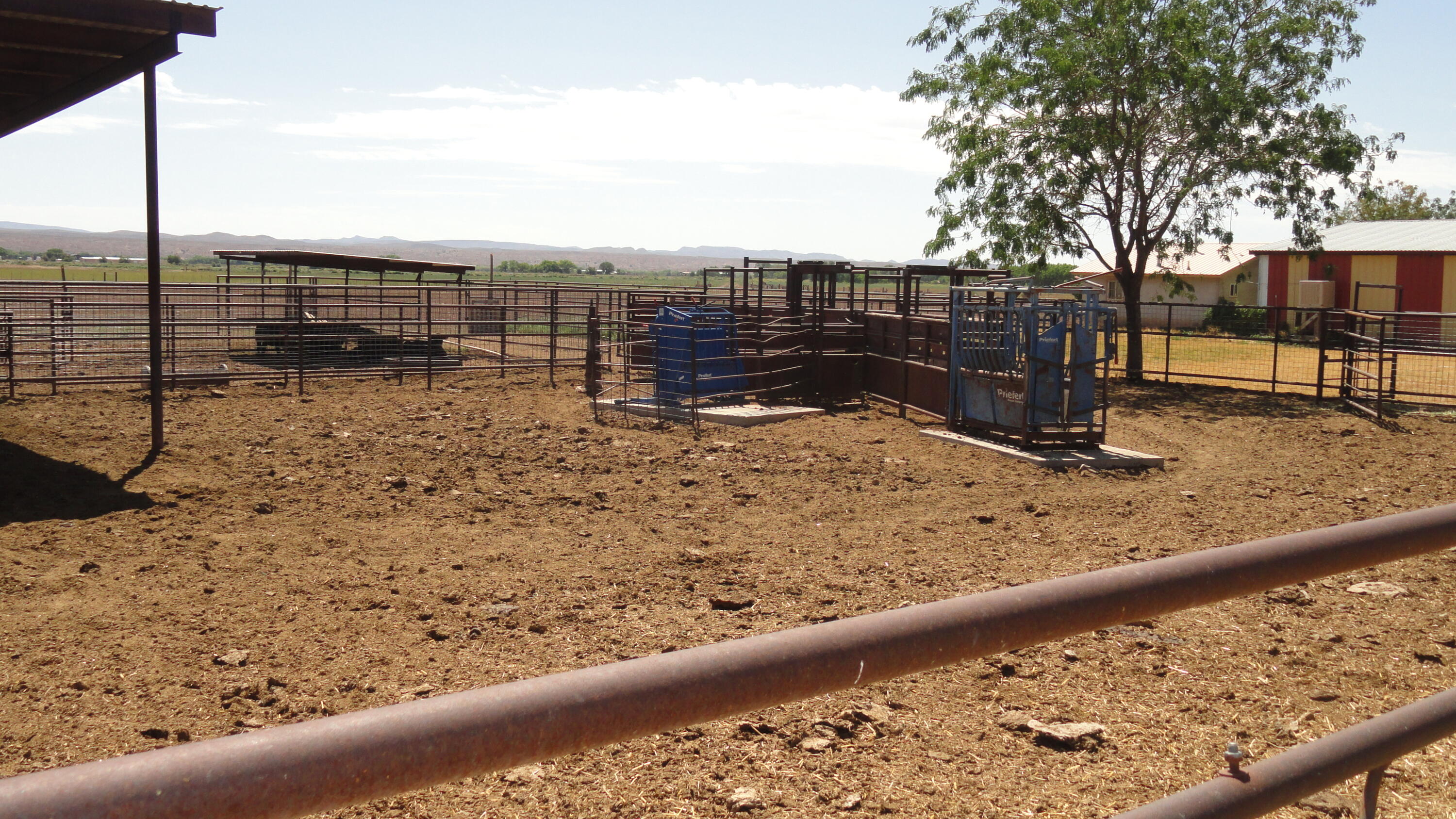 Photo 8 —  Carrasco Farm Lane Road