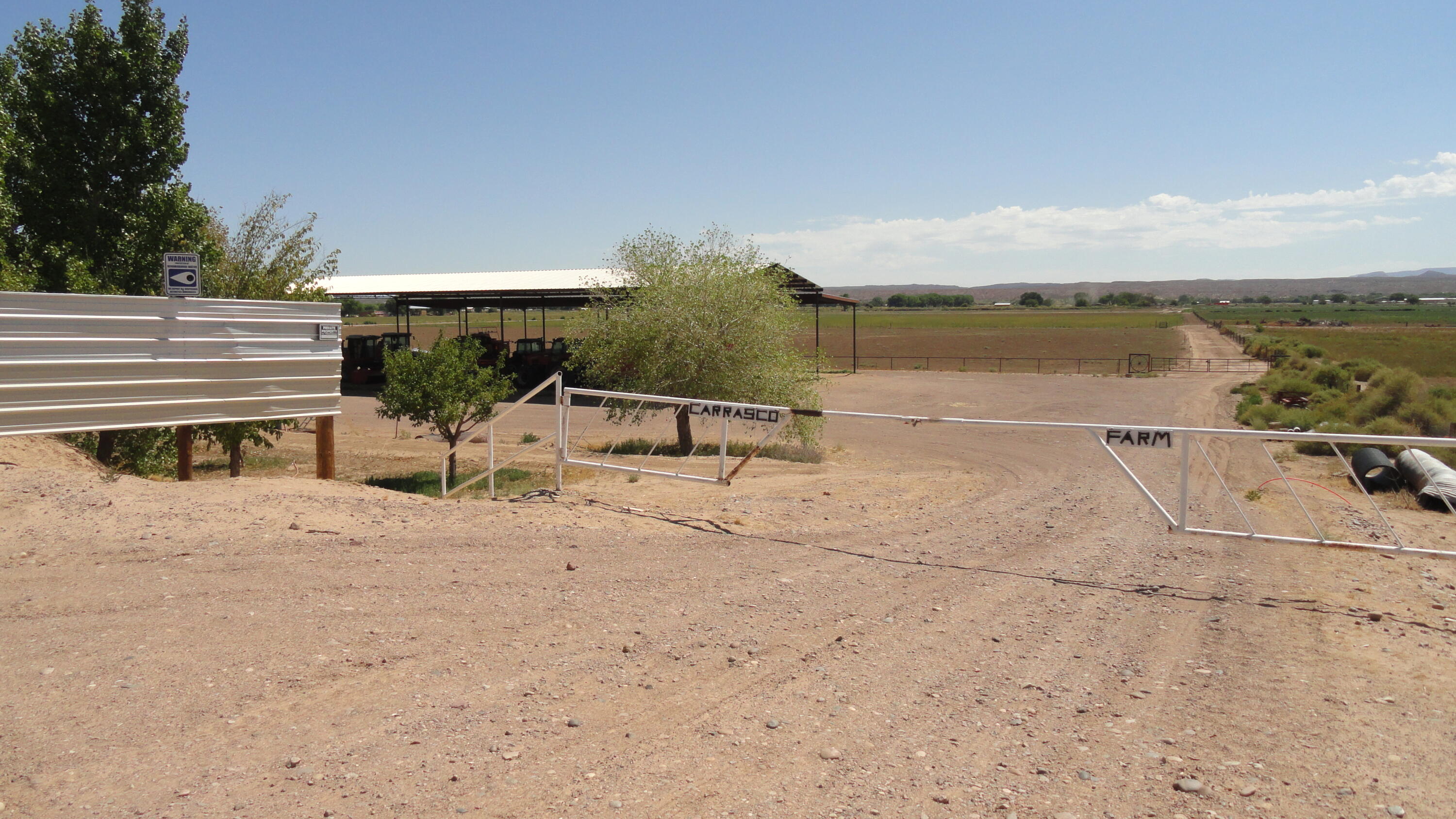 Photo 16 —  Carrasco Farm Lane Road