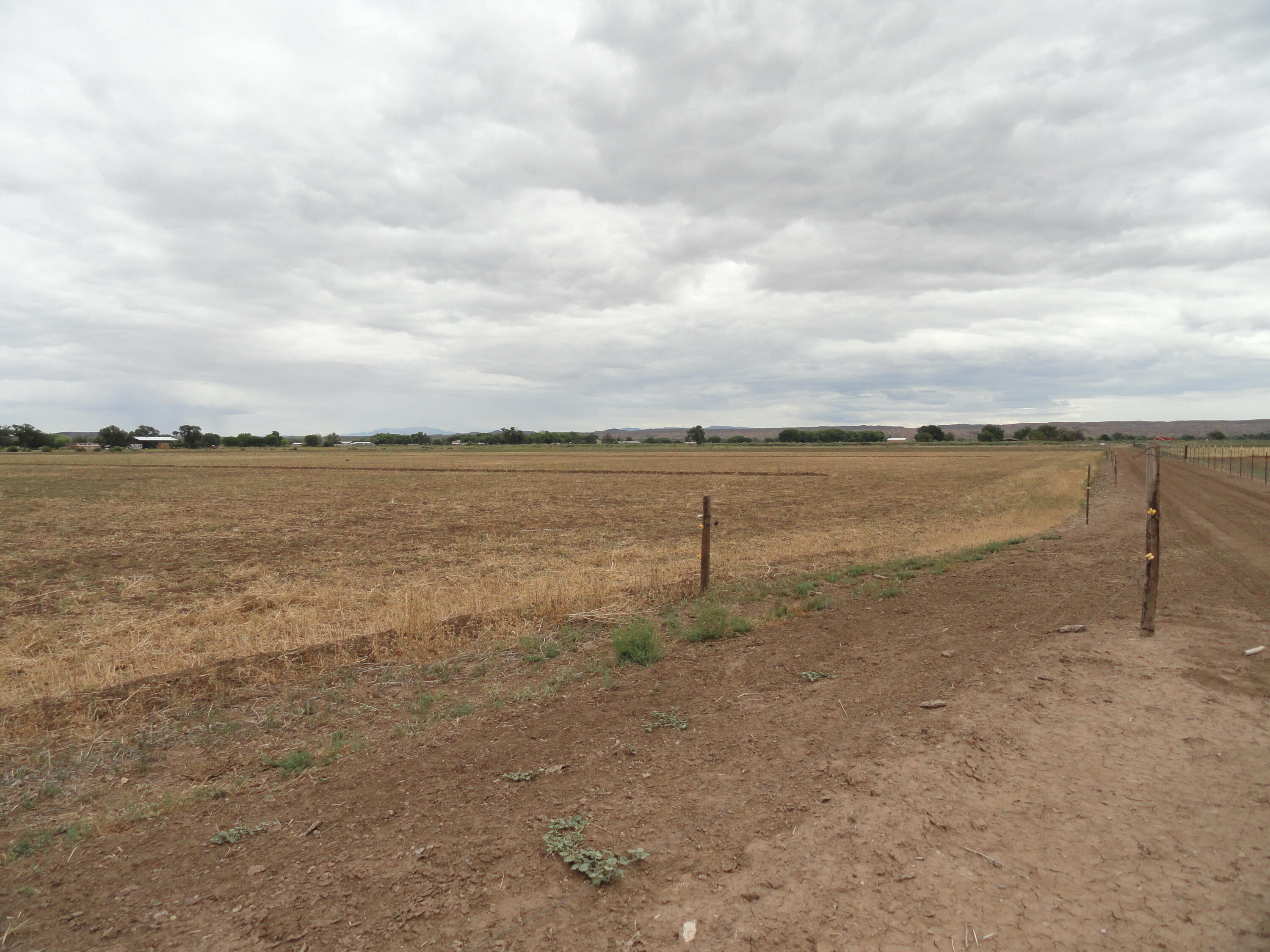 Photo 16 —  Carrasco Farm Lane Road