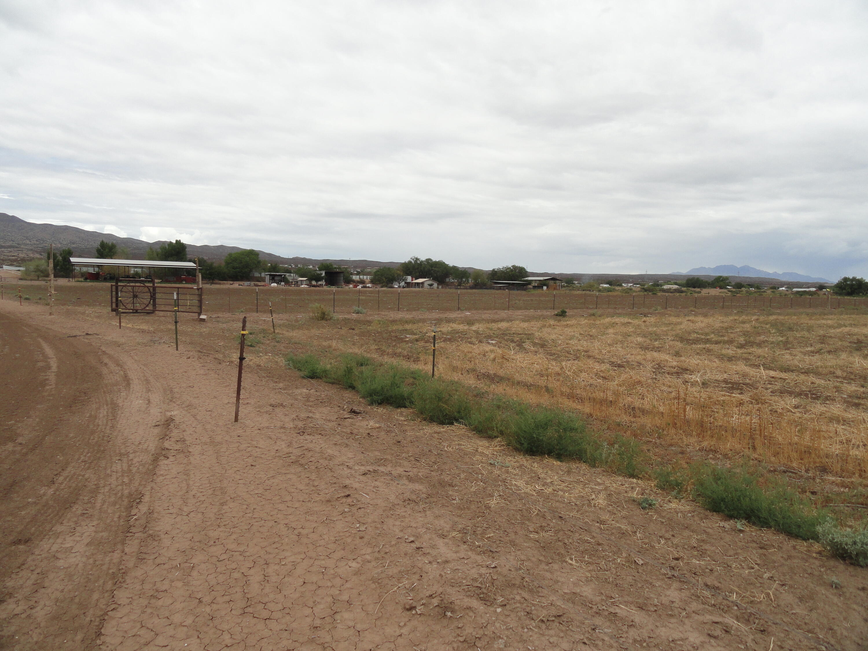 Photo 15 —  Carrasco Farm Lane Road