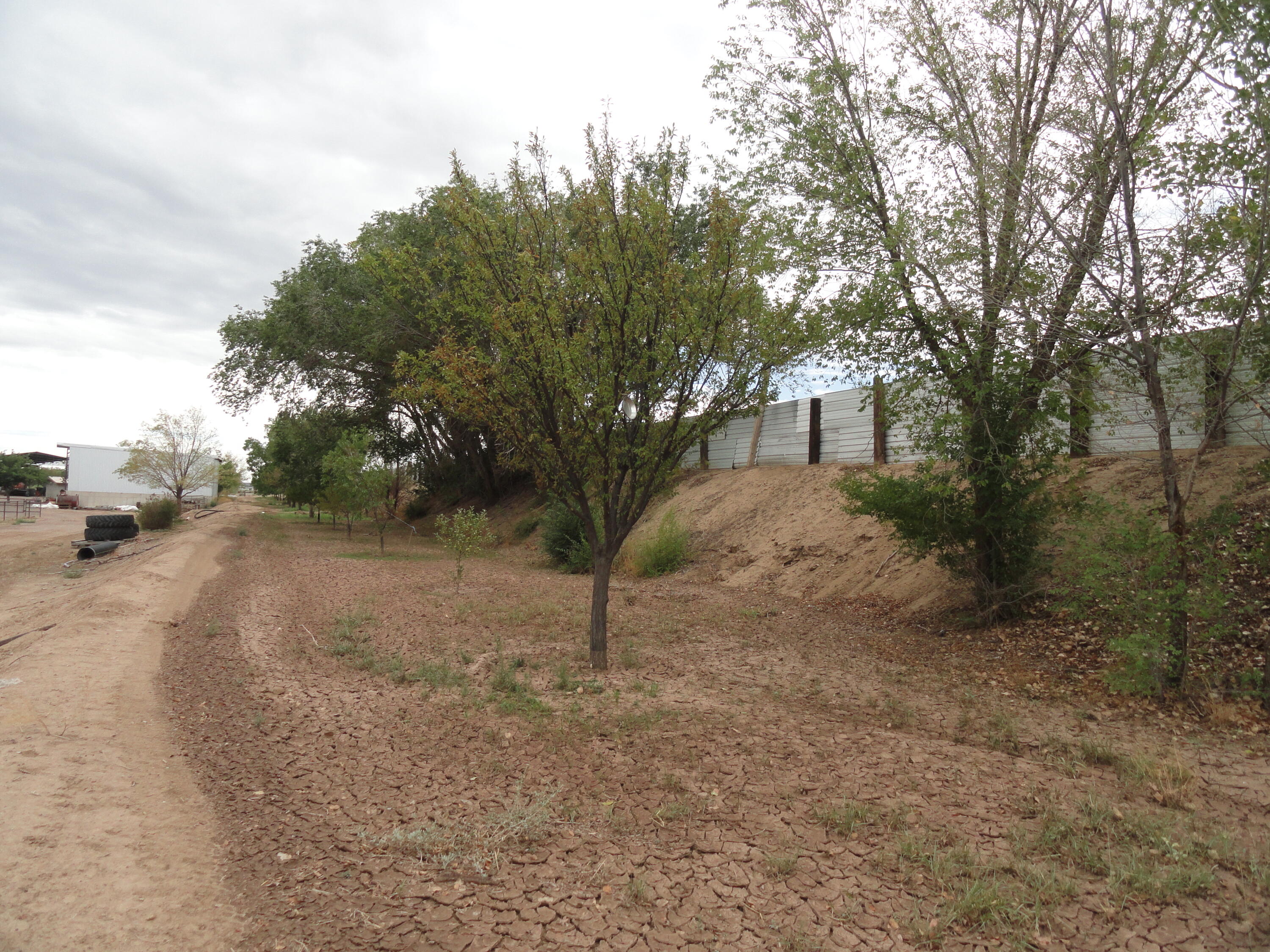 Photo 14 —  Carrasco Farm Lane Road