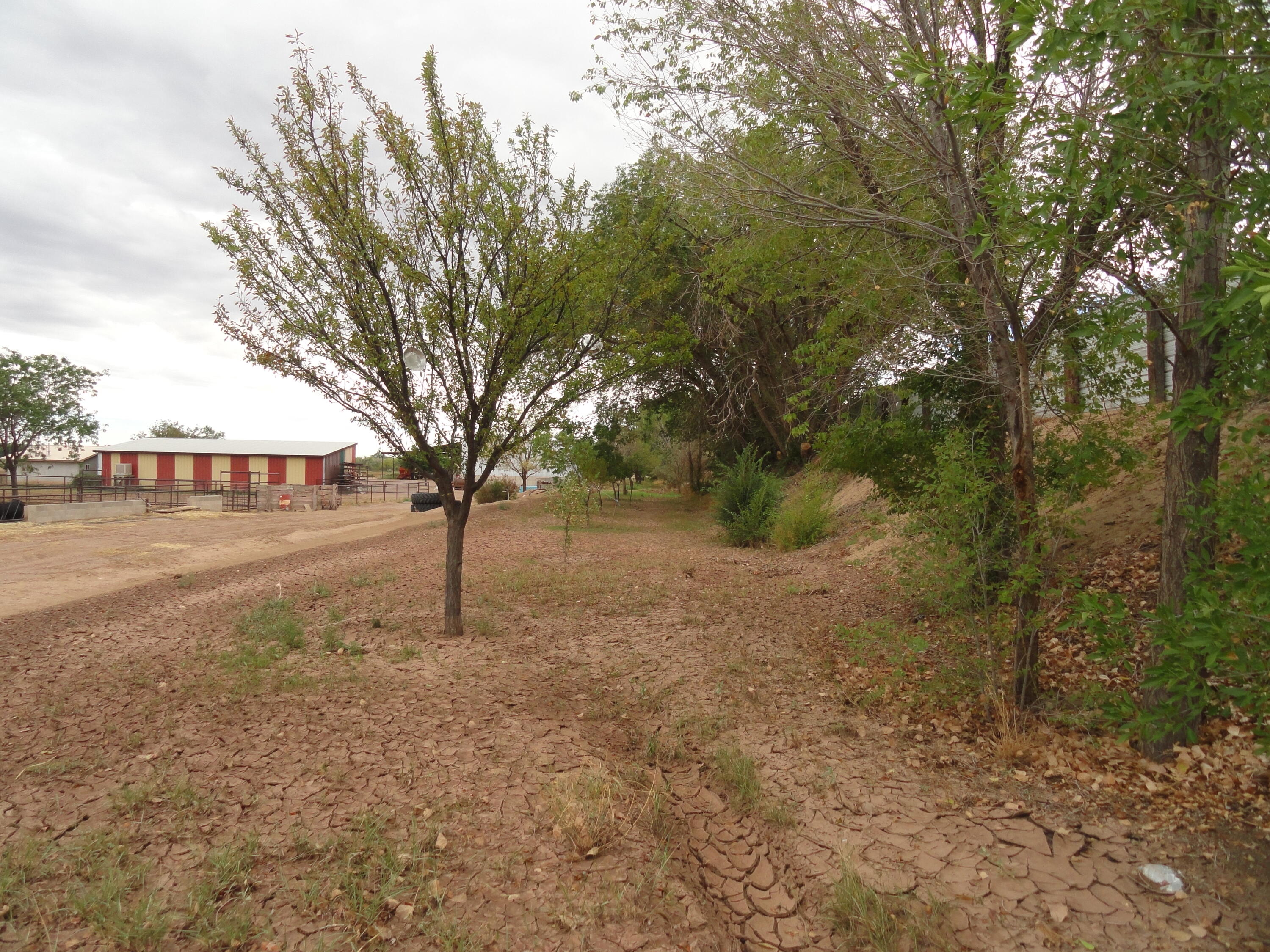 Photo 13 —  Carrasco Farm Lane Road