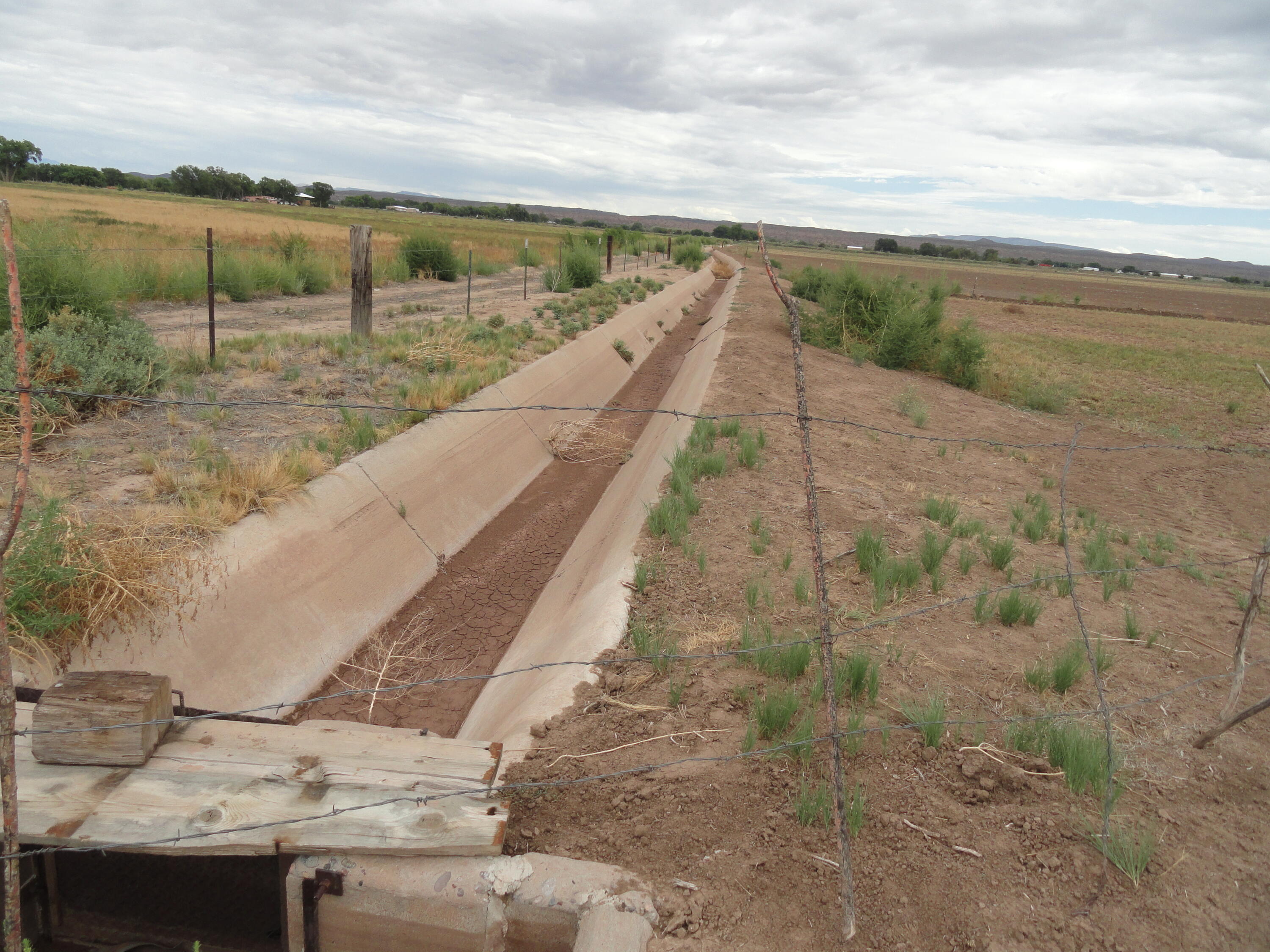 Photo 12 —  Carrasco Farm Lane Road