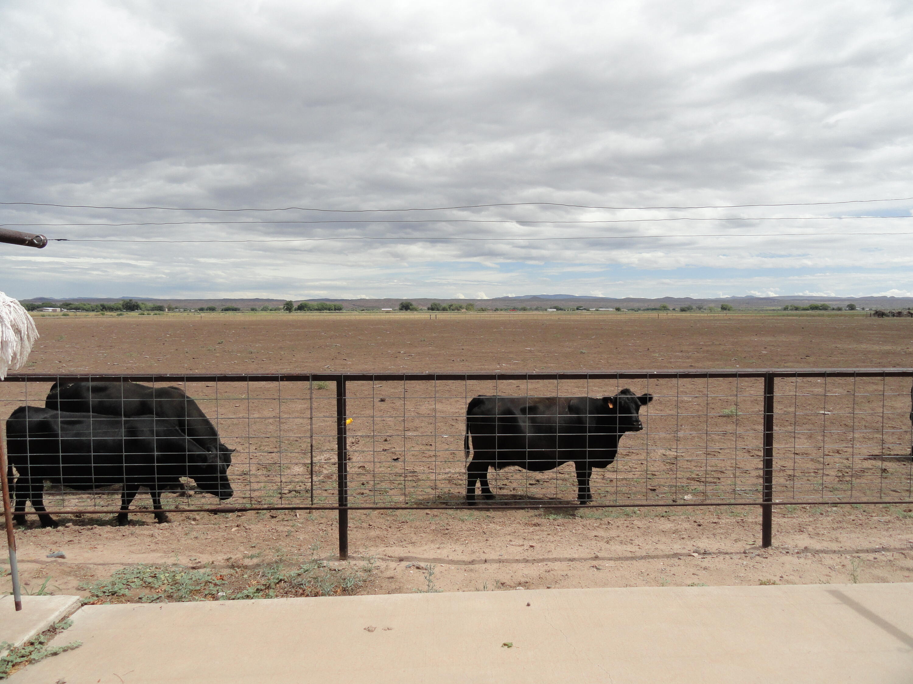 Photo 9 —  Carrasco Farm Lane Road