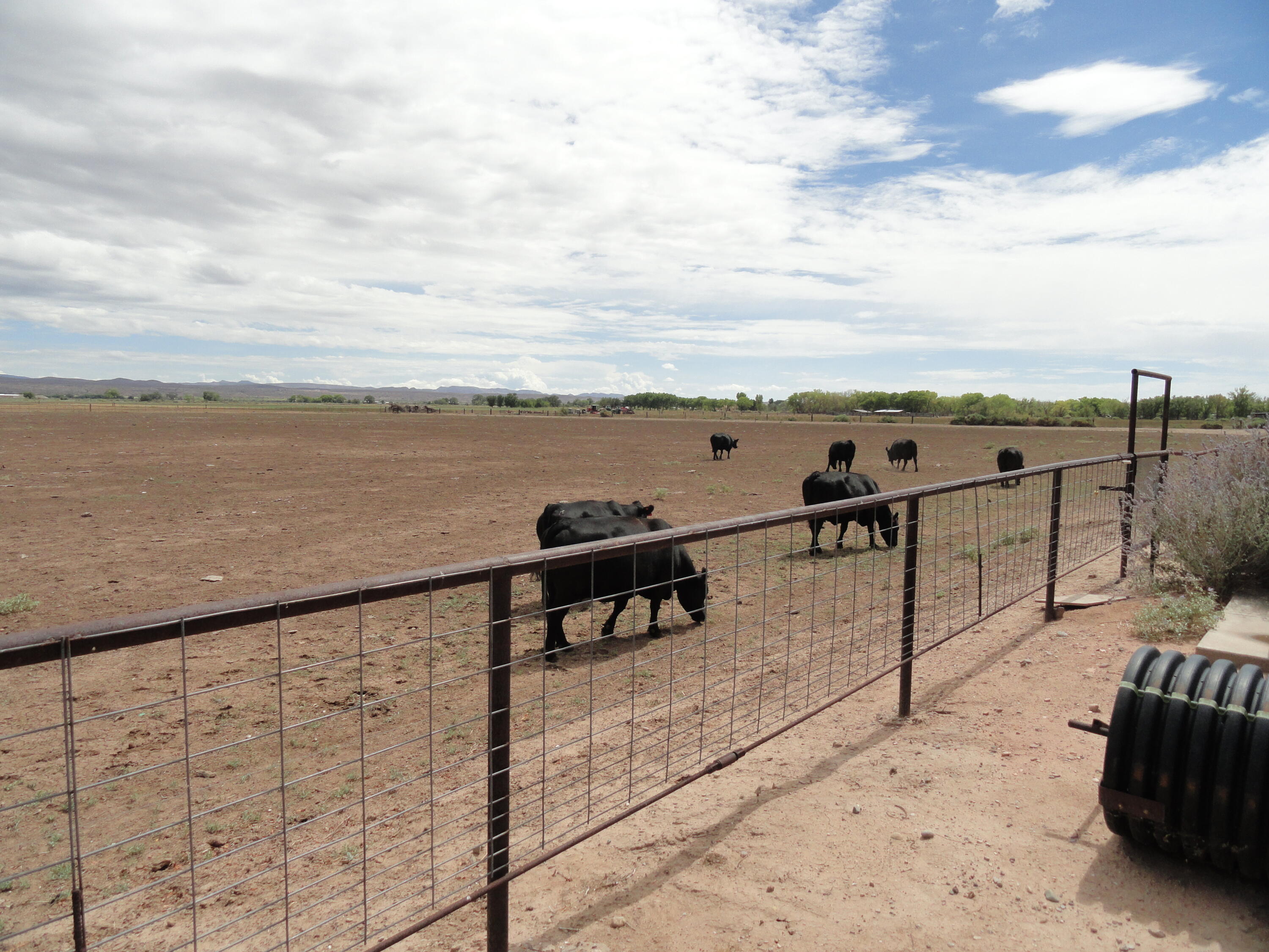 Photo 2 —  Carrasco Farm Lane Road