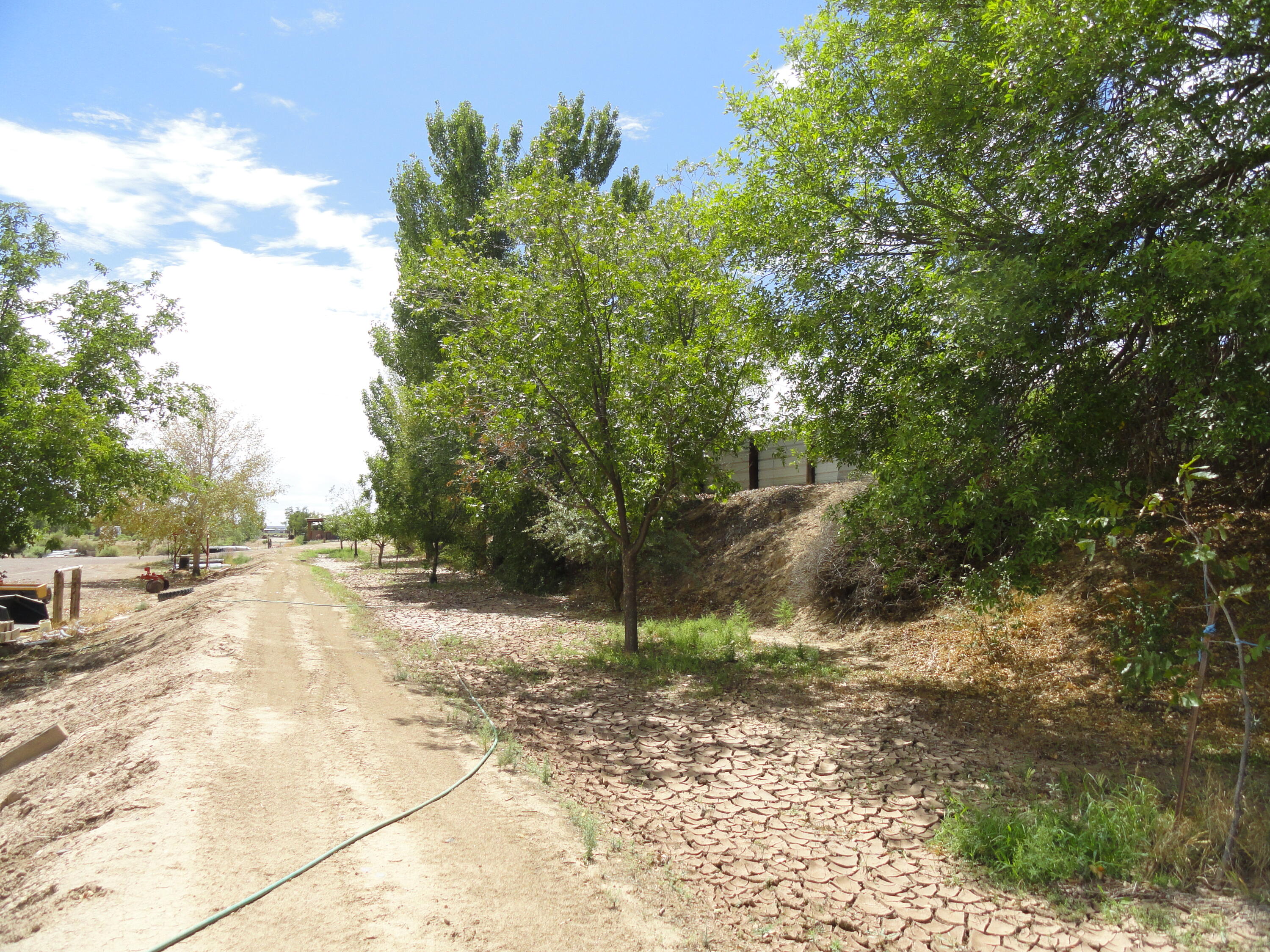 Photo 5 —  Carrasco Farm Lane Road