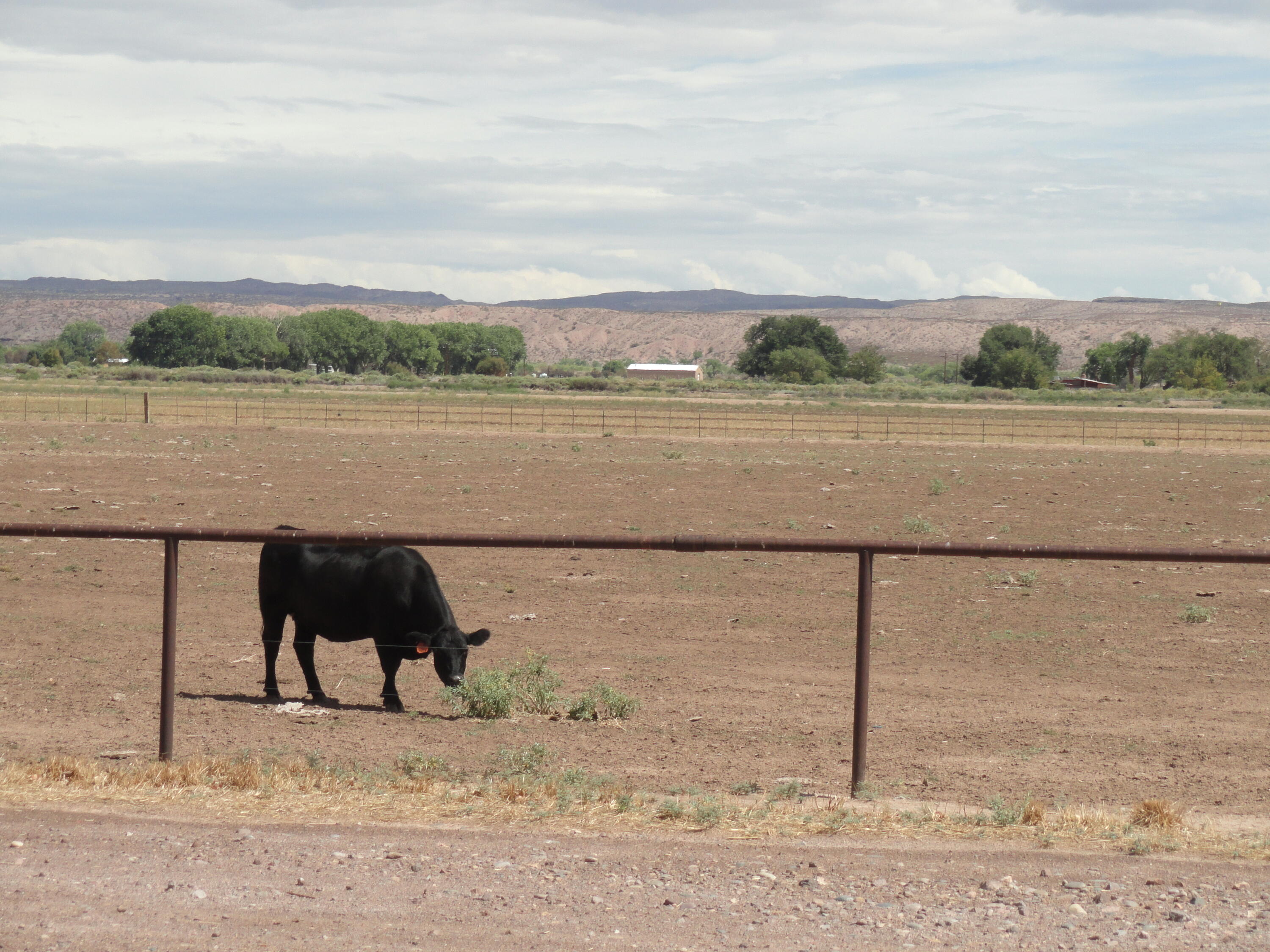 Photo 7 —  Carrasco Farm Lane Road