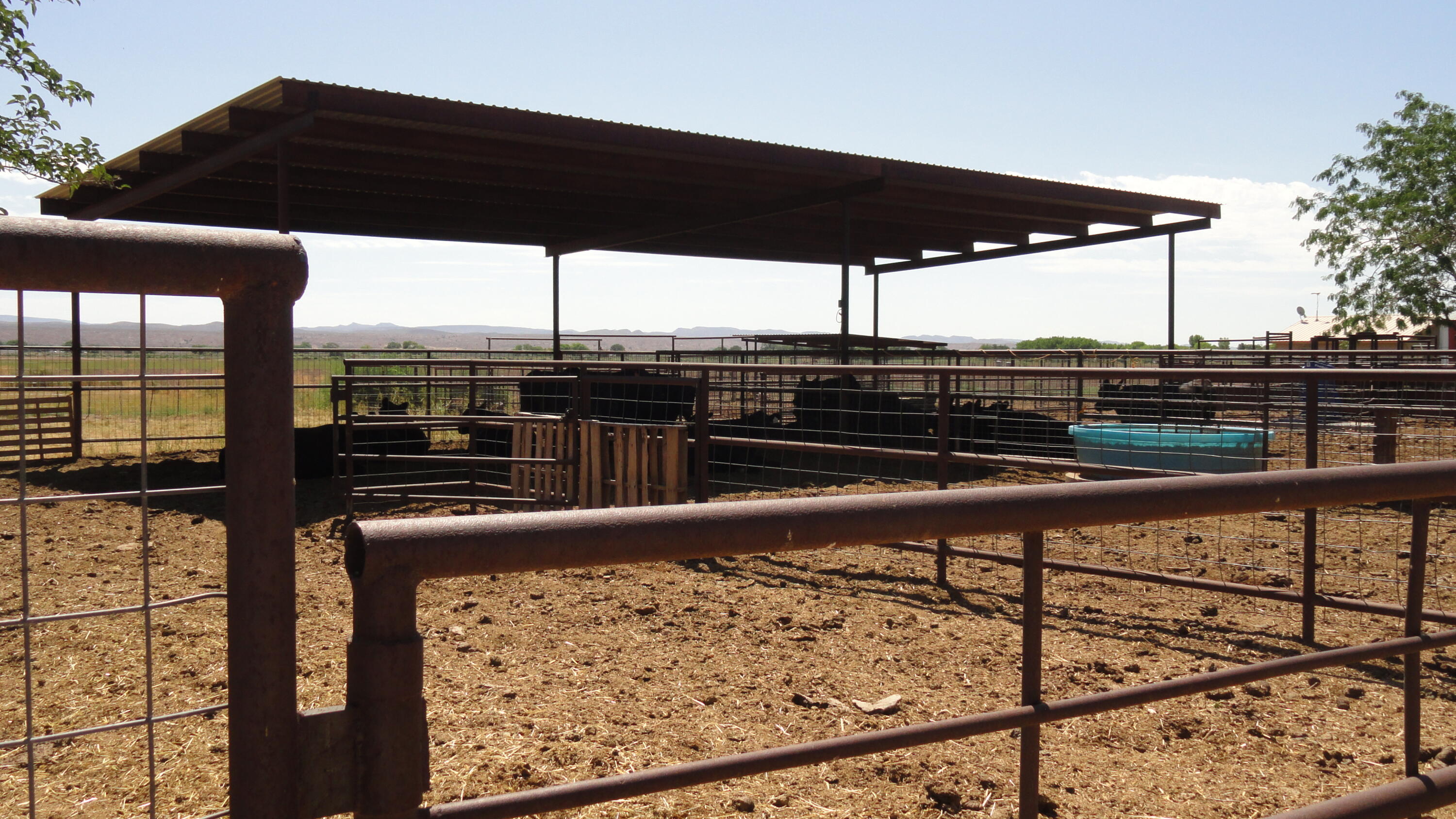 Photo 9 —  Carrasco Farm Lane Road