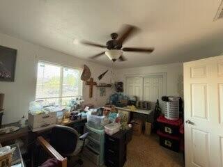 Photo 17 — 714 Williams Avenue