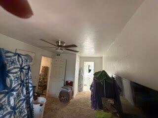 Photo 11 — 714 Williams Avenue