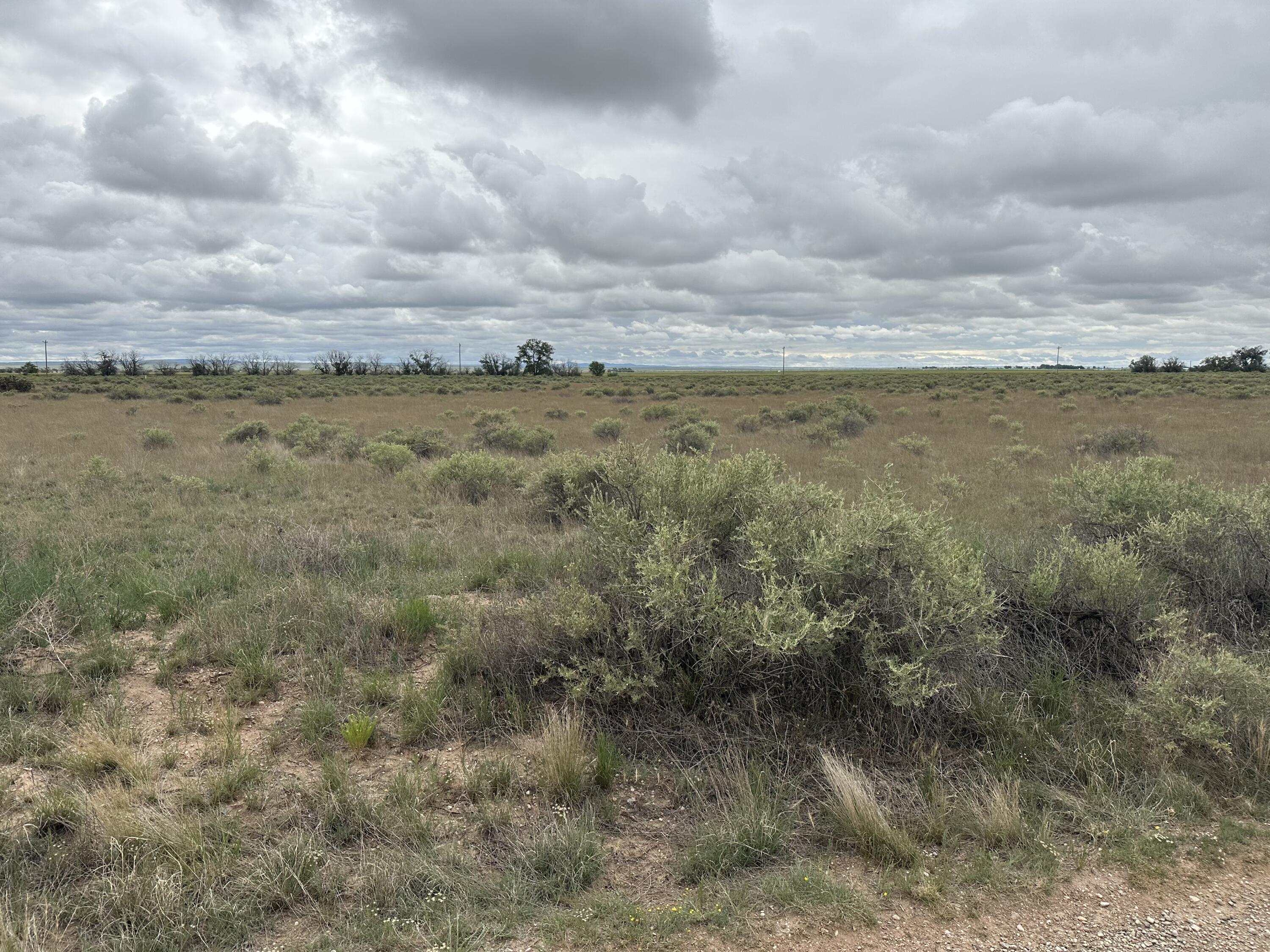 Photo 5 — Lot 43 Valle Verde Avenue