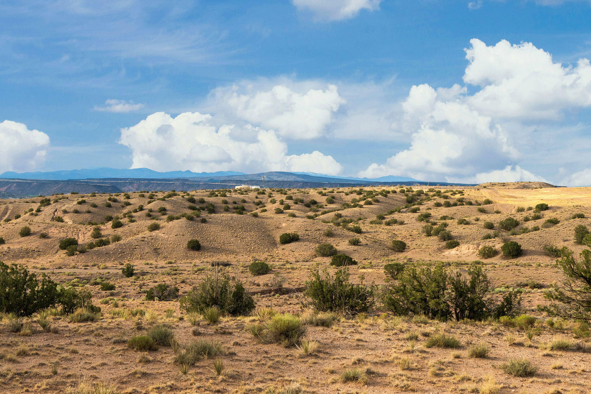 Photo 5 — 22 Mimbres Court