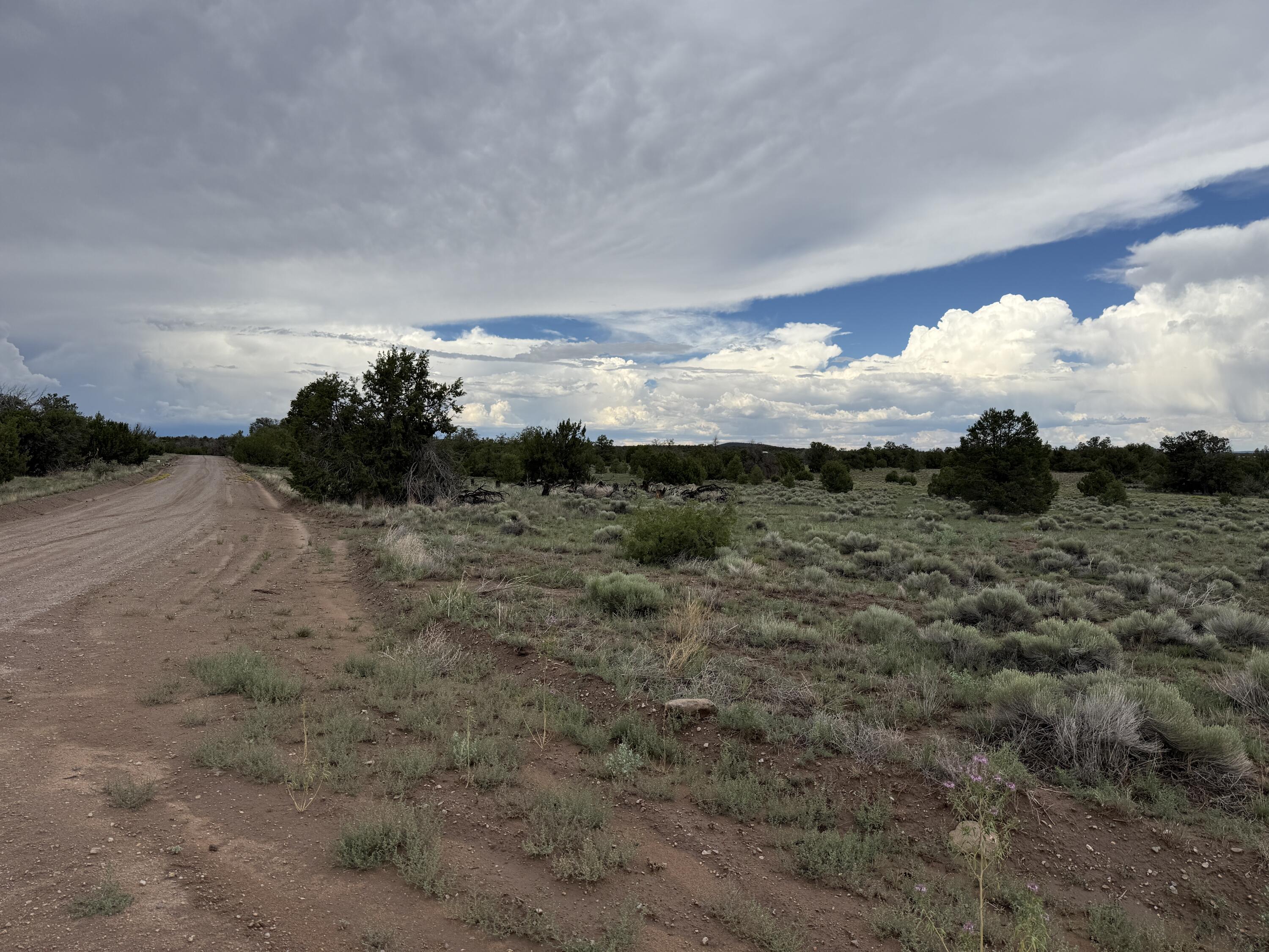 Photo 12 — LOT 36 ARROW LN