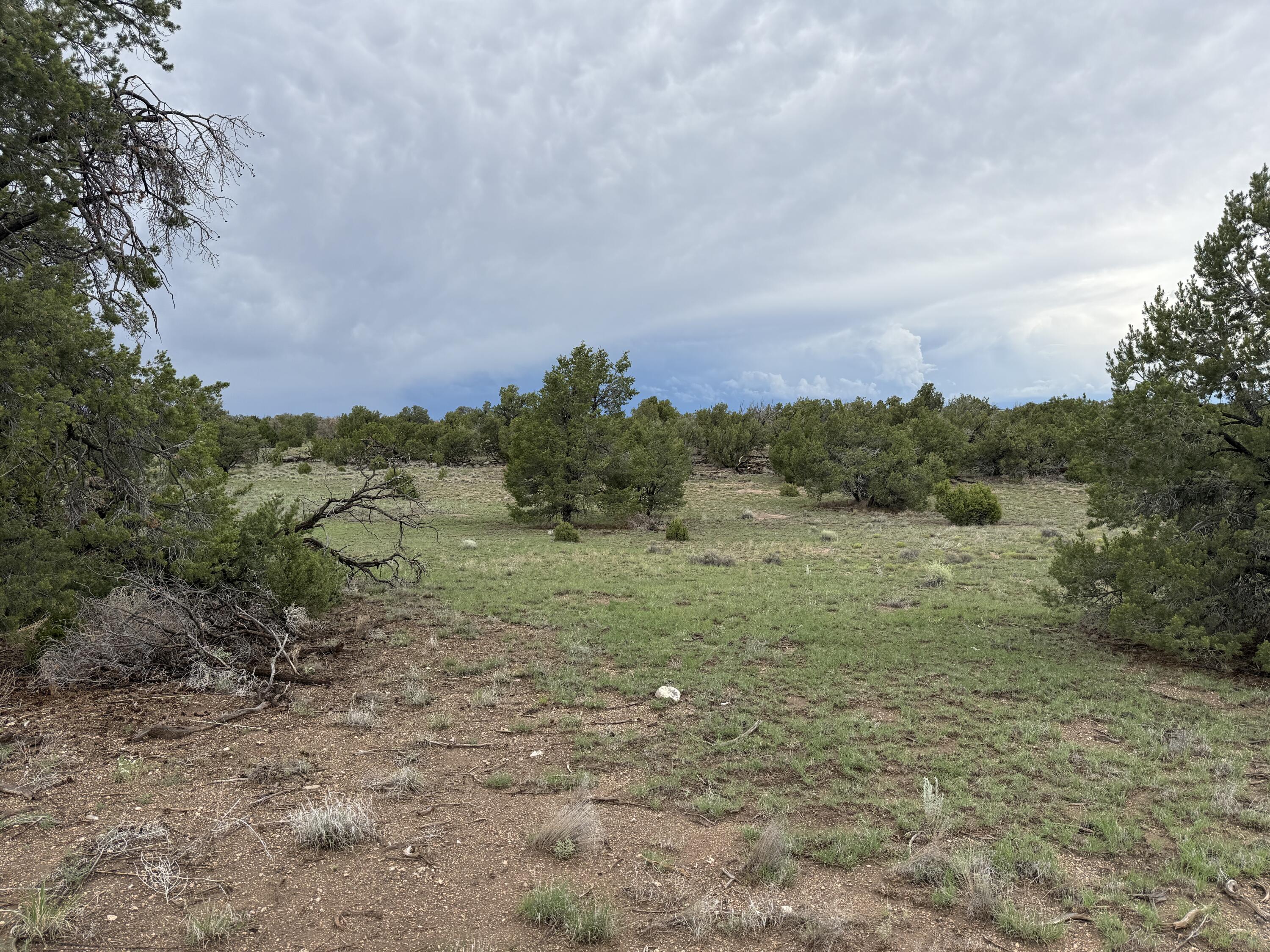 Photo 11 — LOT 36 ARROW LN