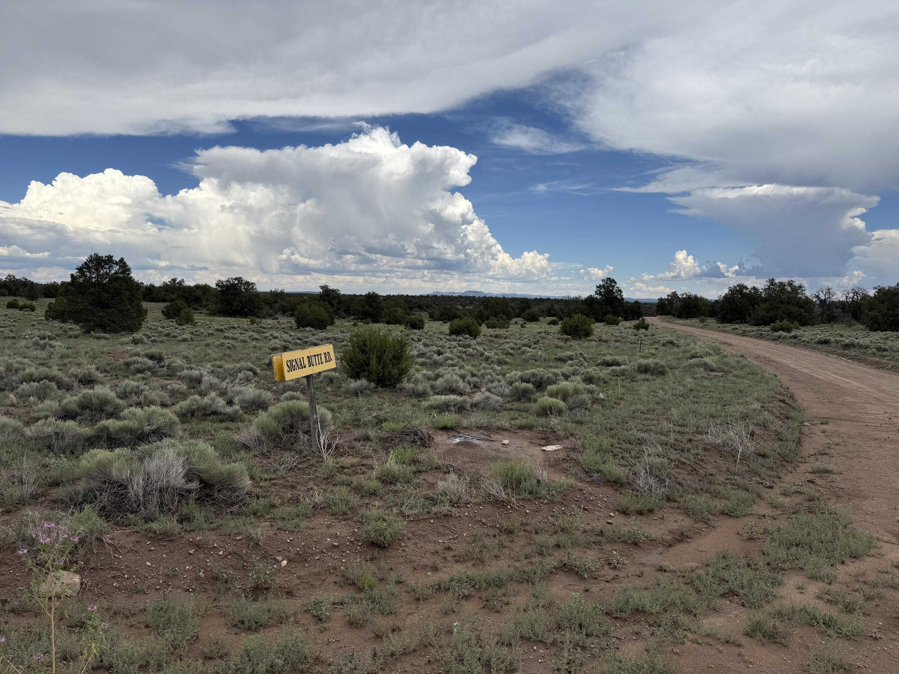 Photo 10 — LOT 36 ARROW LN