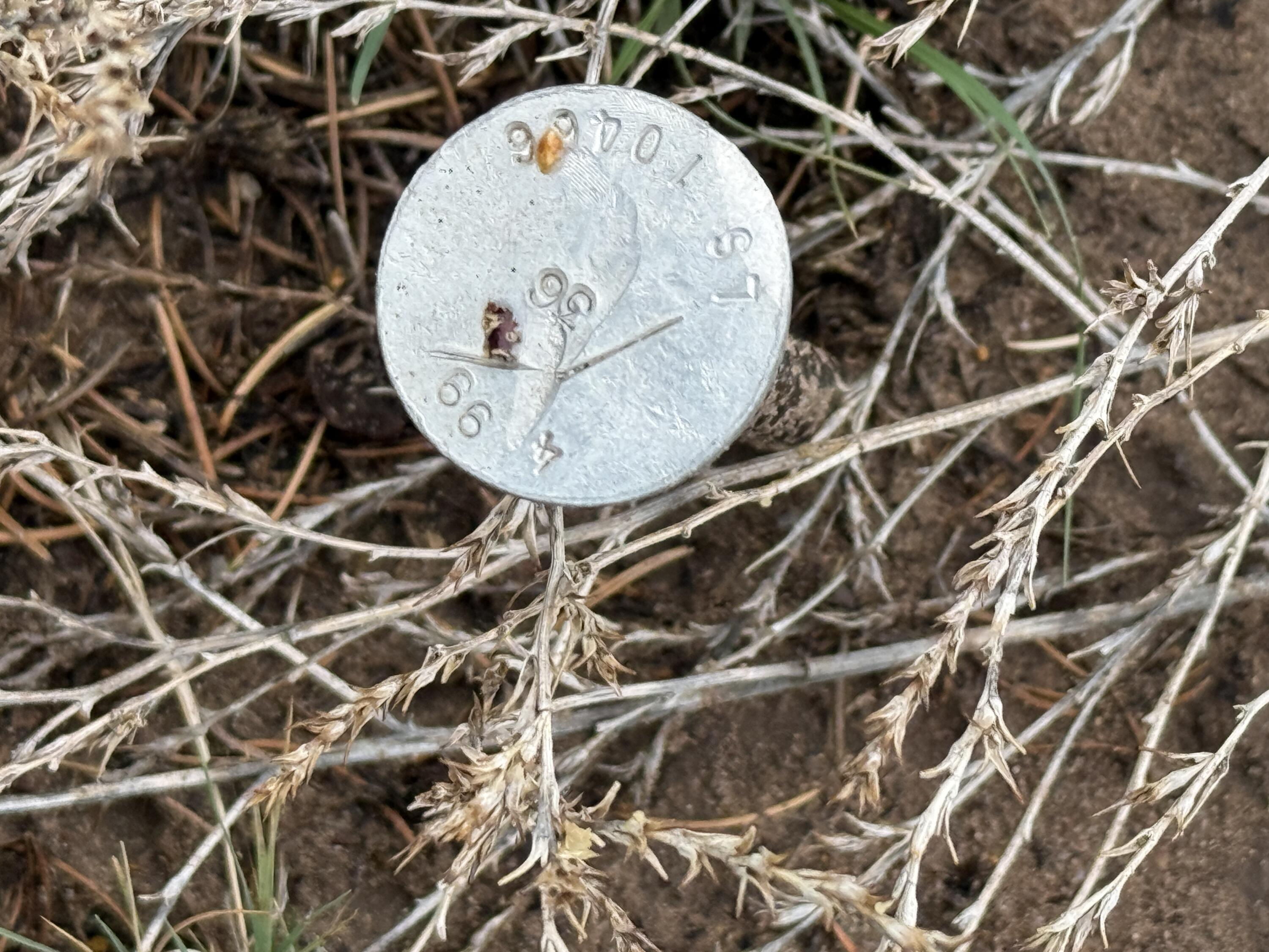 Photo 5 — LOT 36 ARROW LN