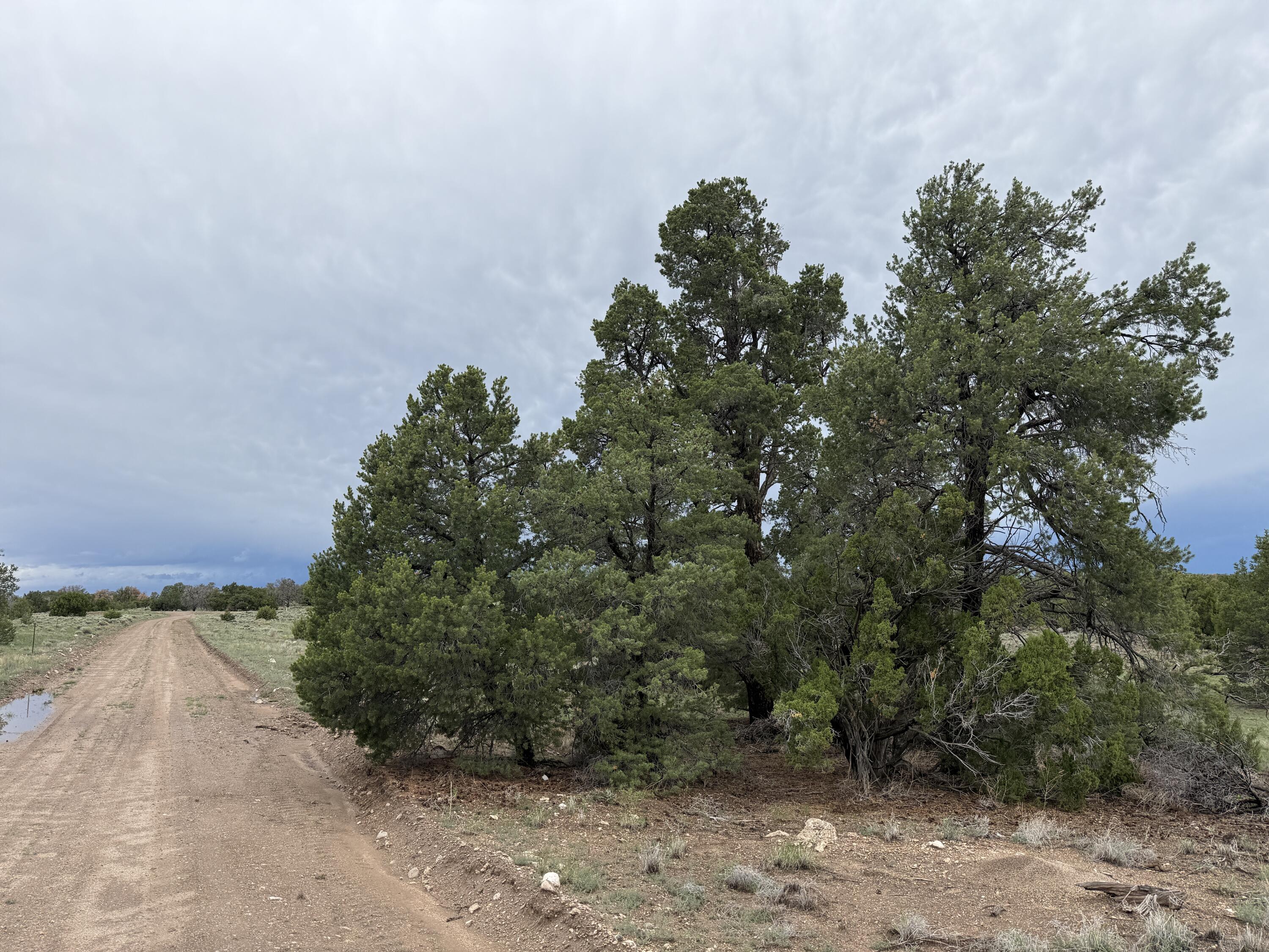 Photo 18 — LOT 36 ARROW LN