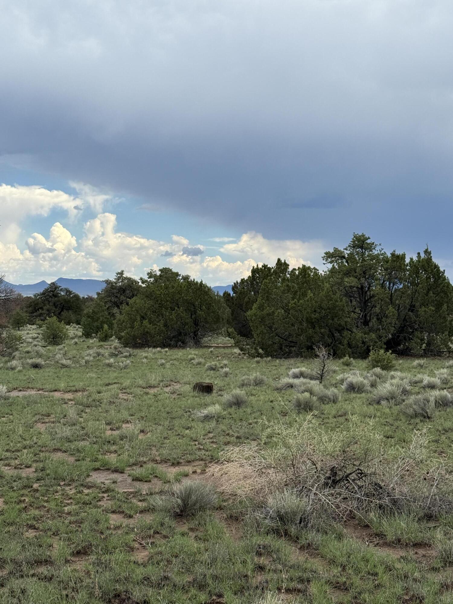 Photo 17 — LOT 36 ARROW LN