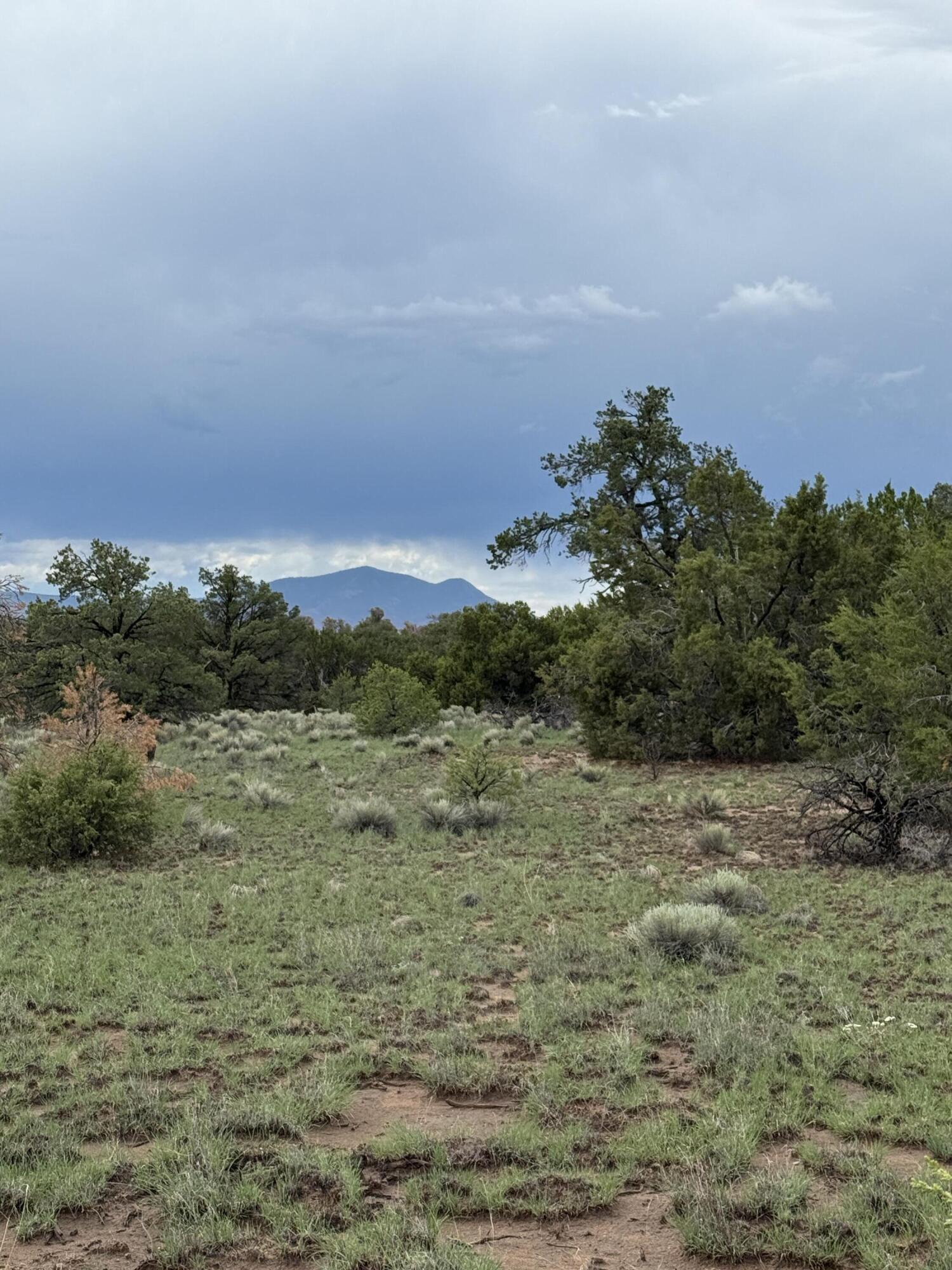 Photo 16 — LOT 36 ARROW LN