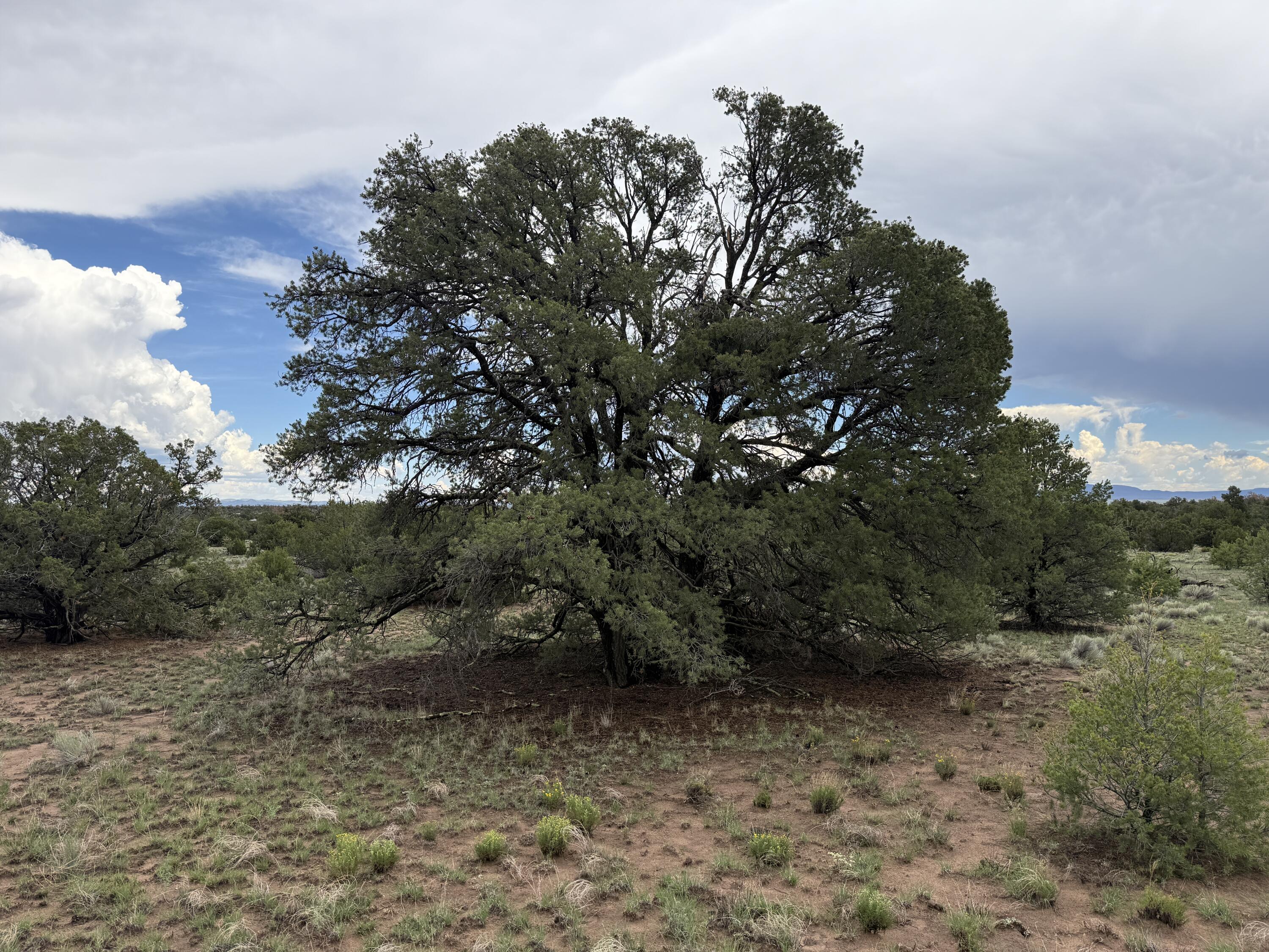 Photo 15 — LOT 36 ARROW LN