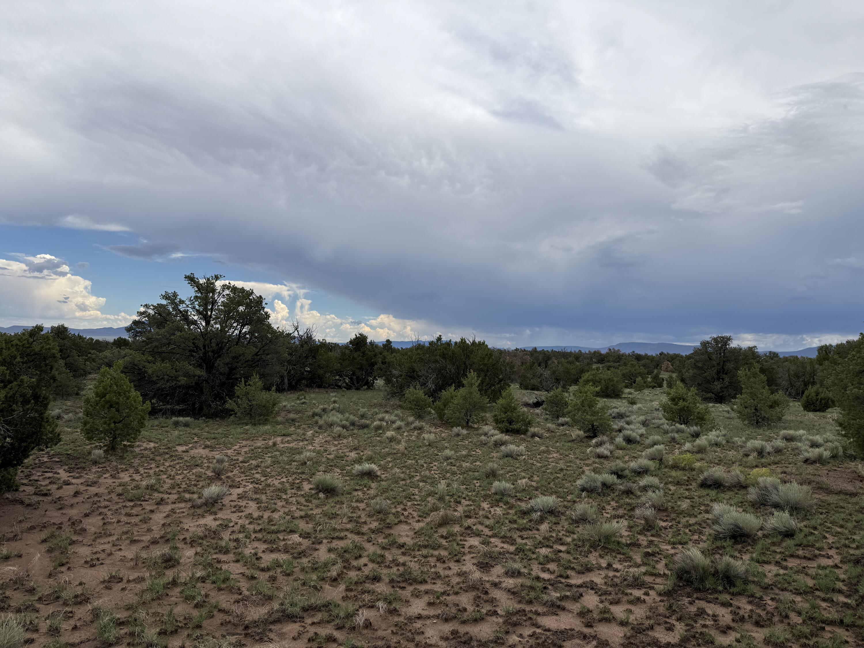 Photo 14 — LOT 36 ARROW LN