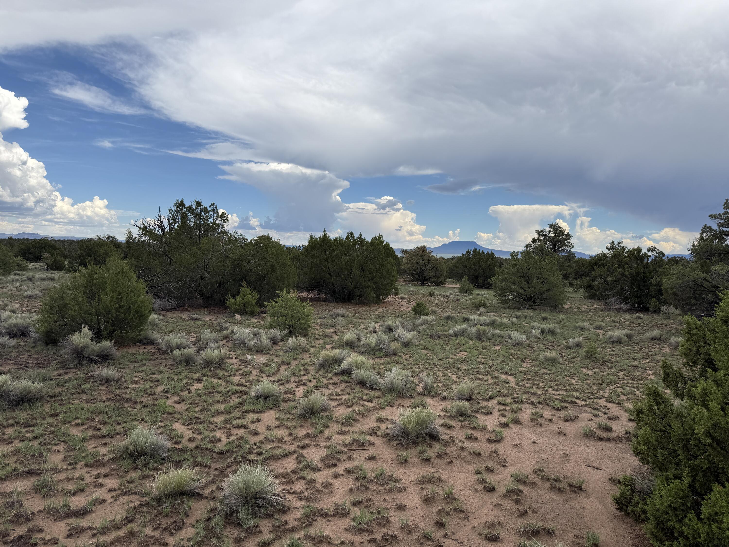 Photo 13 — LOT 36 ARROW LN