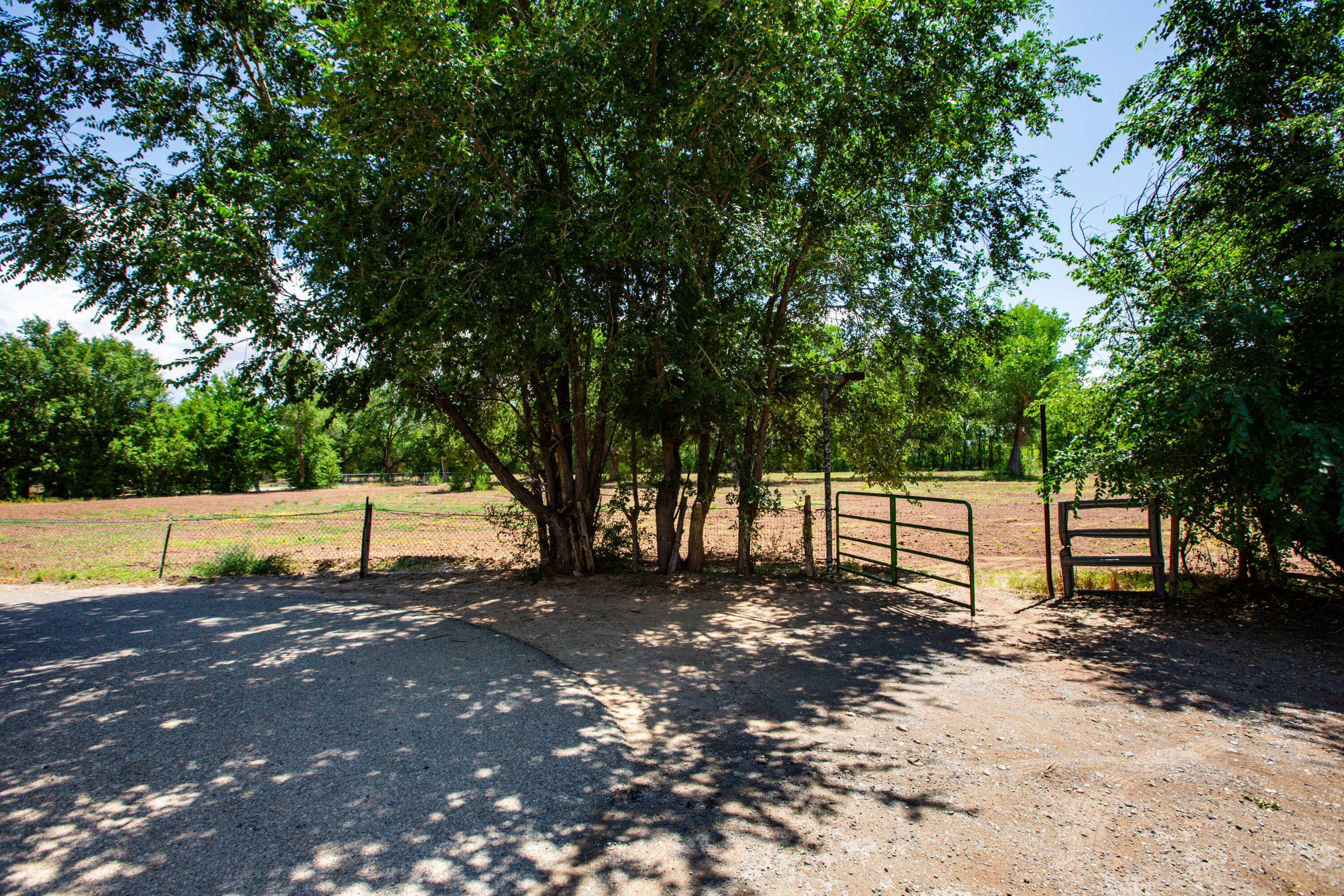 Photo 14 — 2226 Paul Road SW