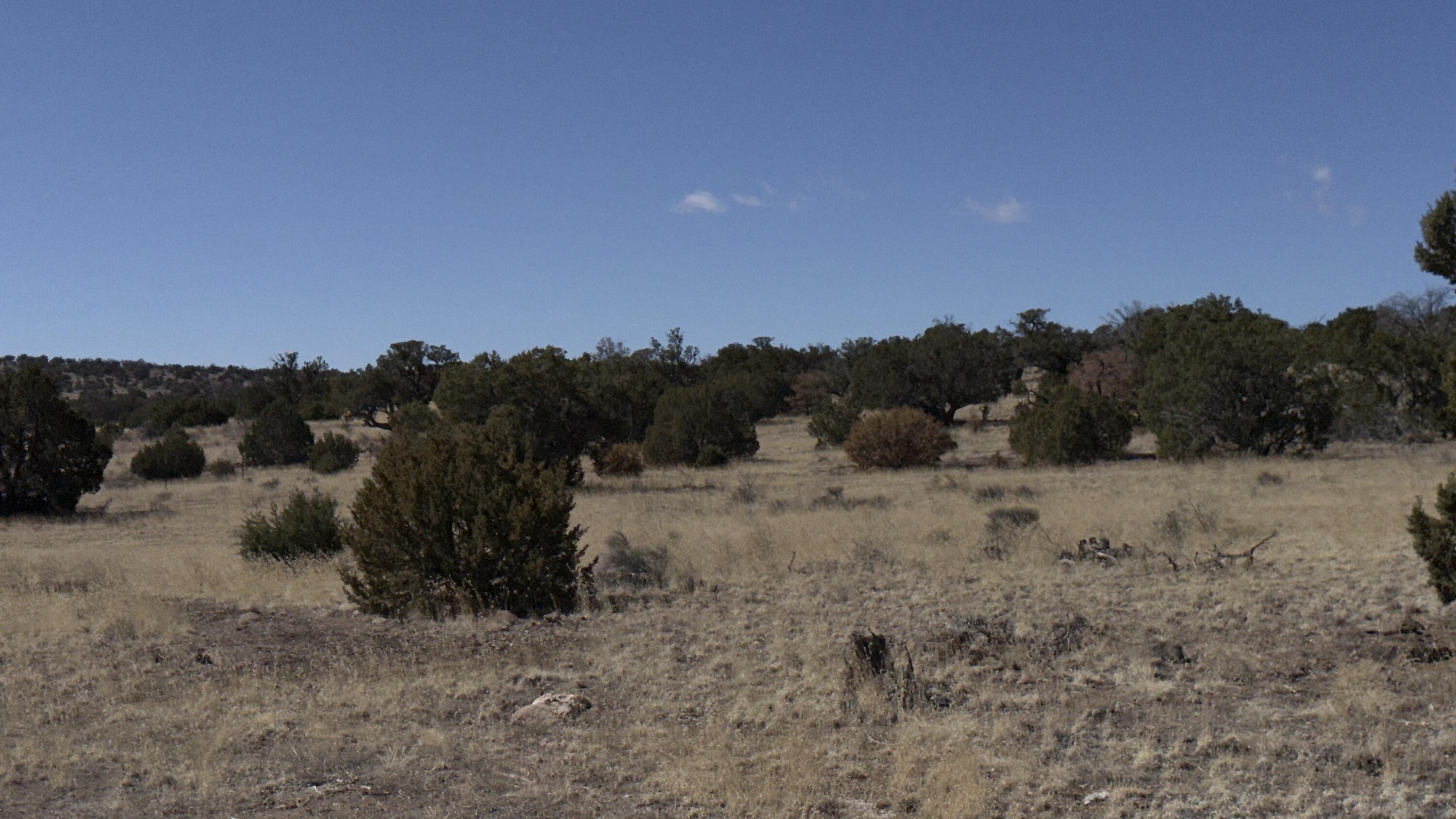 Photo 12 — 21 Wildwood Loop